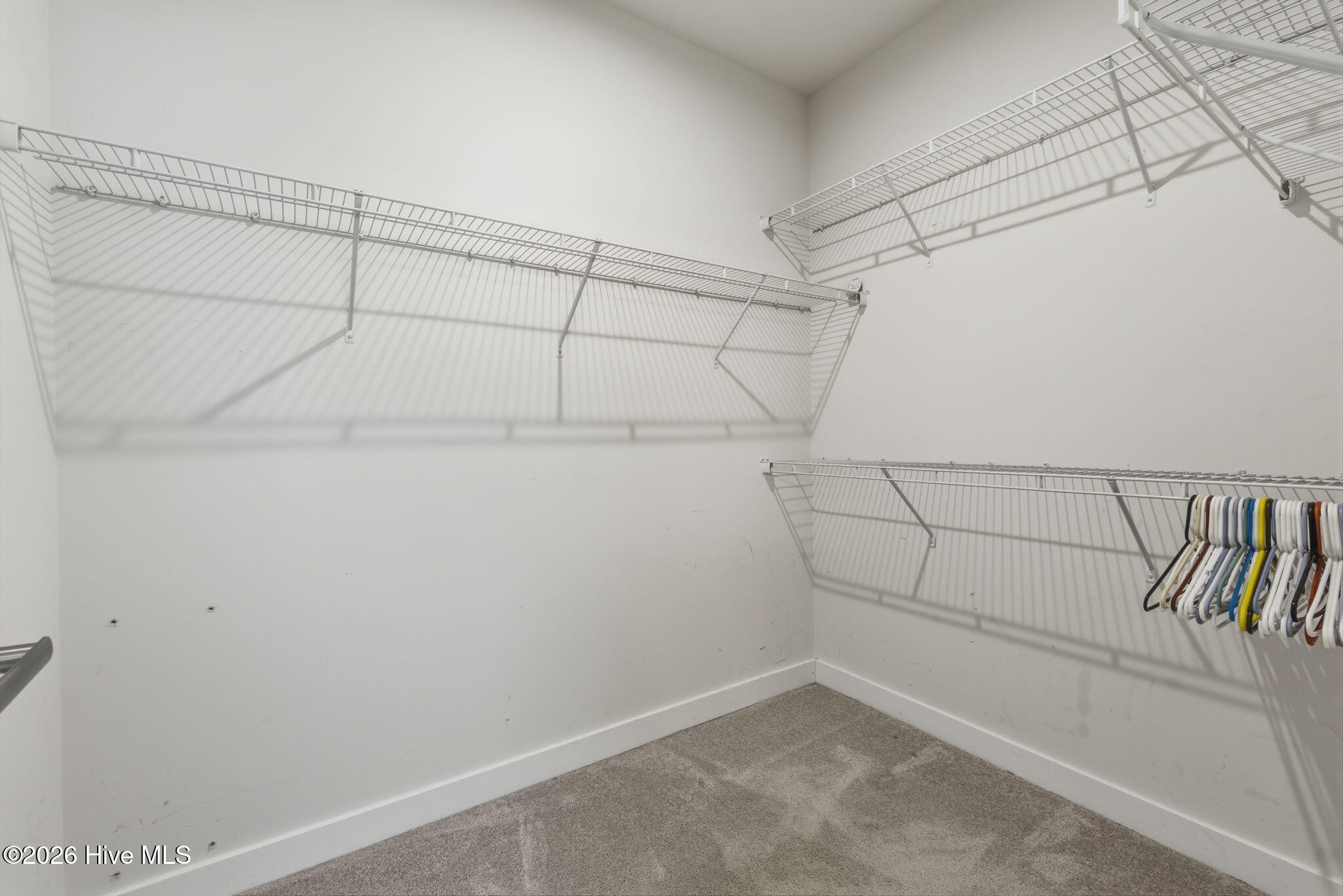 218 Green Lake Road Moyock, NC 27958 - Photo 20 of 38
