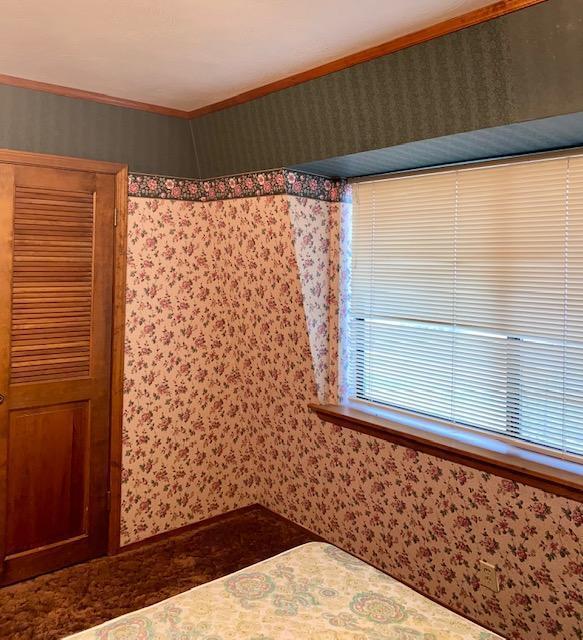 1398 North Elberta Road Exeter, CA 93221 - Photo 41 of 63 Elberta 11