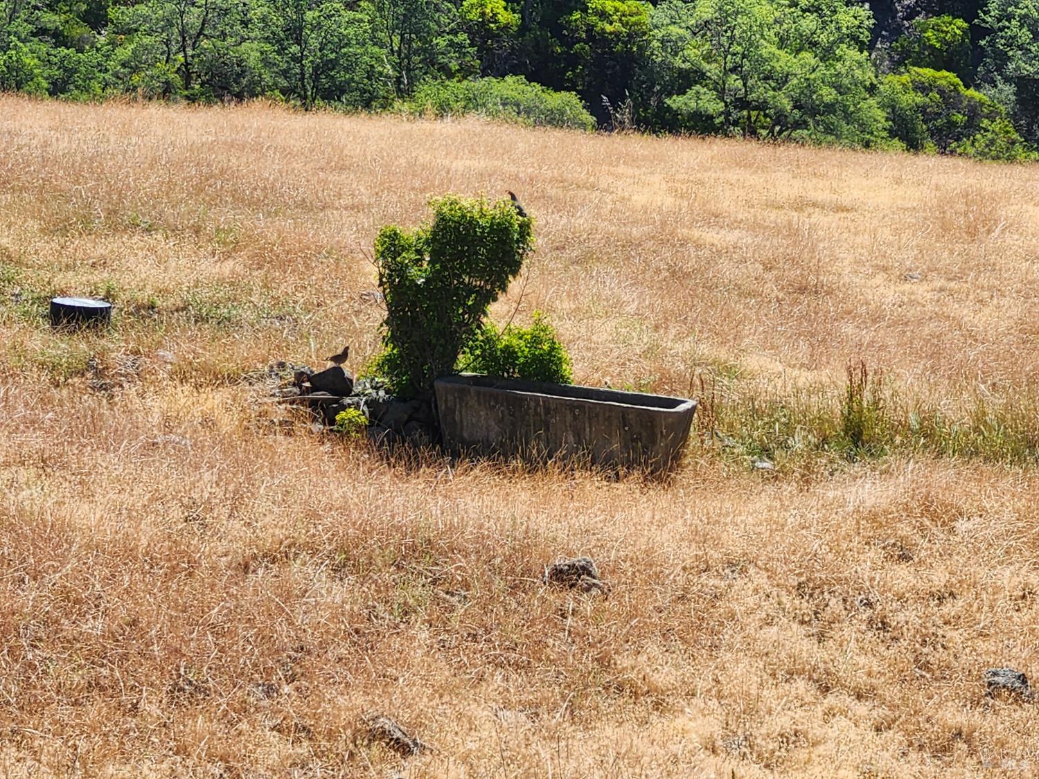 22551 Rifle Range Road Covelo, CA 95428 - Photo 12 of 24