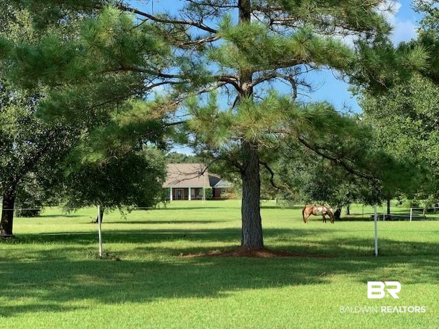 15751 Camellia Road Silverhill, AL 36576 - Photo 3 of 32