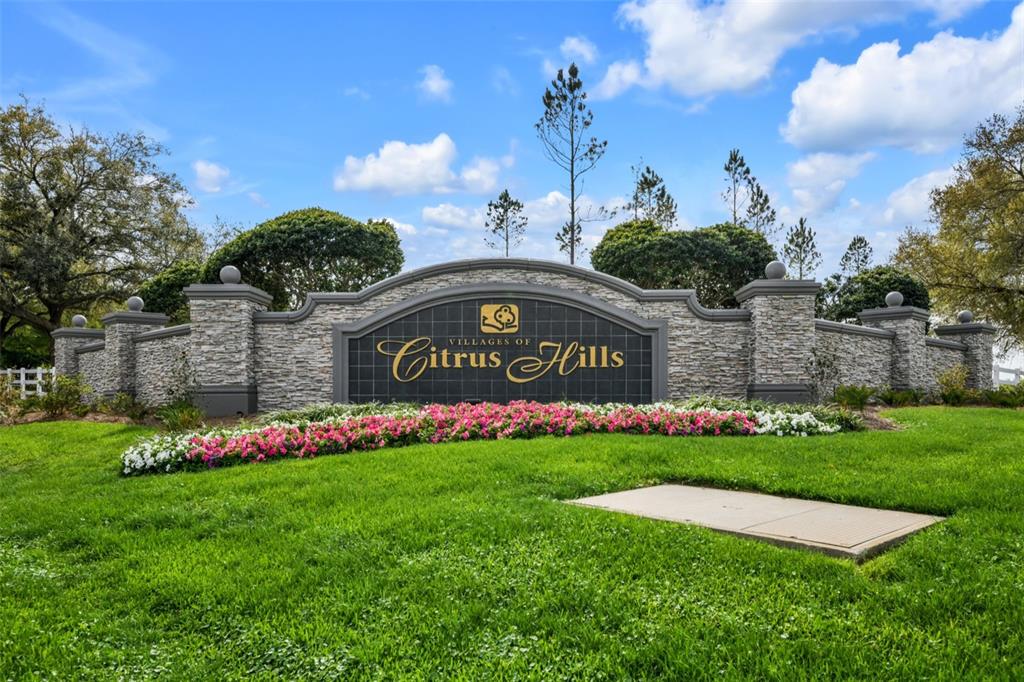 1707 West Spring Meadow Loop Lecanto, FL 34461 - Photo 31 of 46