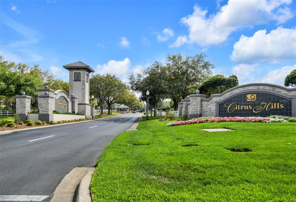 1707 West Spring Meadow Loop Lecanto, FL 34461 - Photo 40 of 46