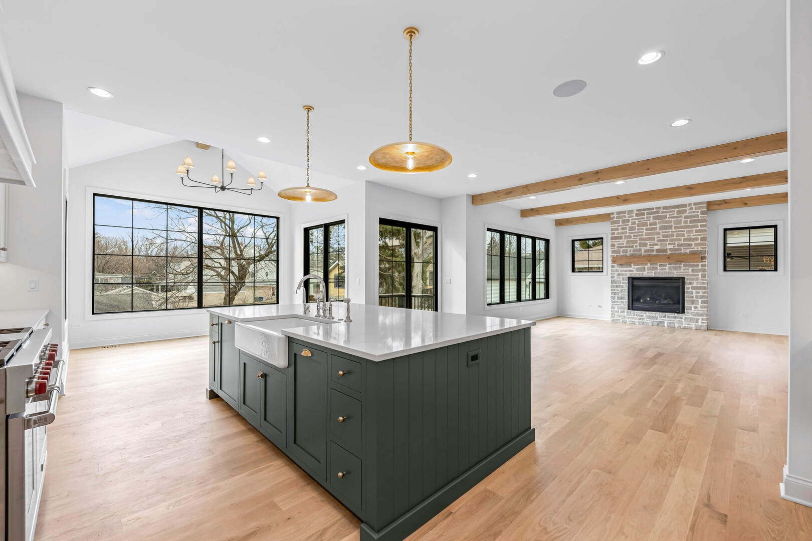 660 Eagle Street Naperville, IL 60563 - Photo 12 of 45 a living room with stainless steel appliances granite countertop furniture a fireplace and a large window
