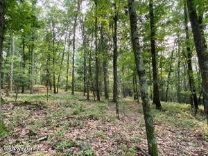 Clarence Fry Road Montoursville, PA 17754 - Photo 5 of 16 Gallery Image 5