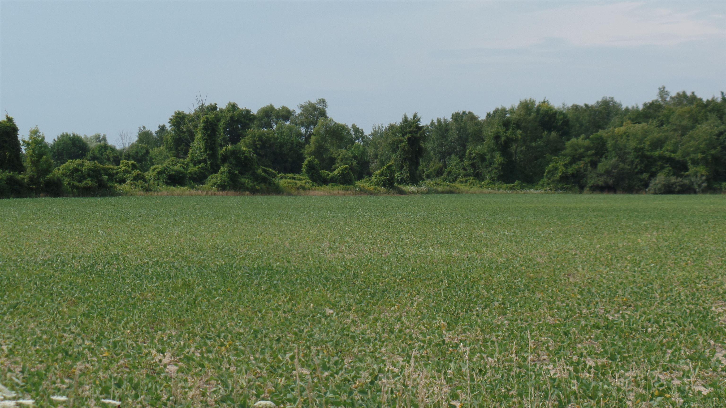 0 French Line Road Carsonville, MI 48419 - Photo 20 of 25