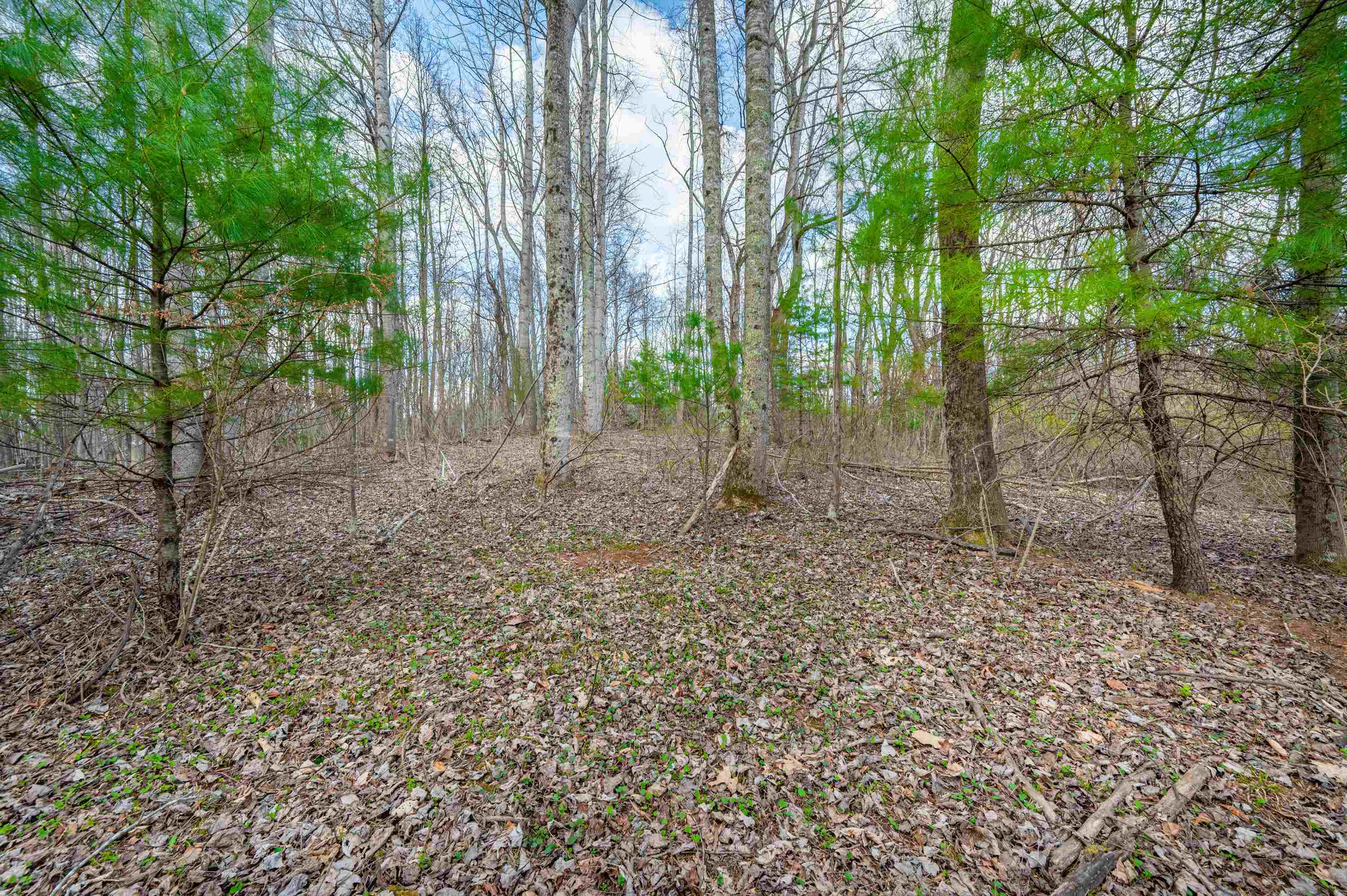 2301 Buffalo Mountain Road Southwest Willis, VA 24380 - Photo 23 of 37 Gallery Image 23
