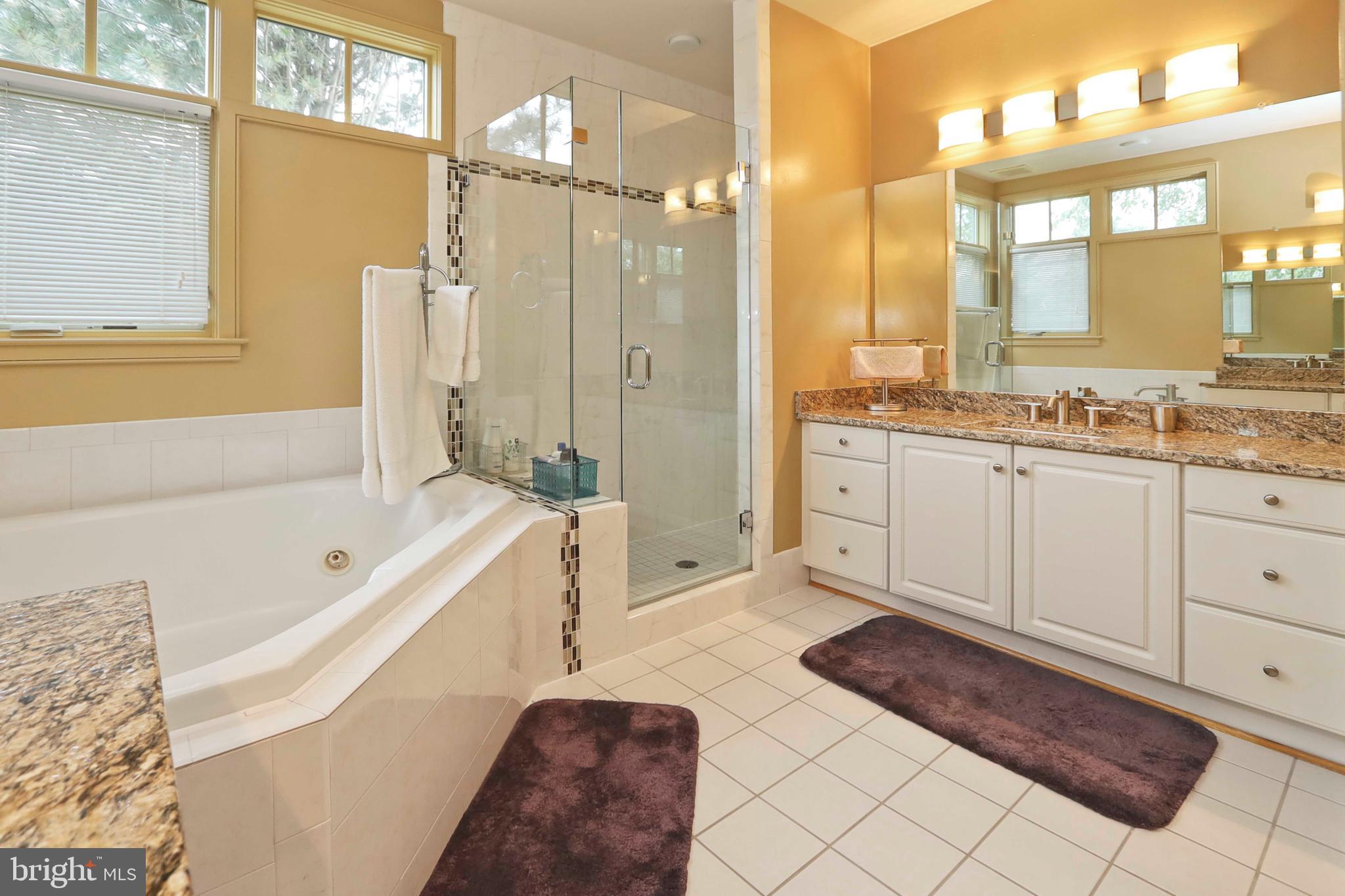 1453 Waterfront Road Reston, VA 20194 - Photo 27 of 56 Customized Master Bath
