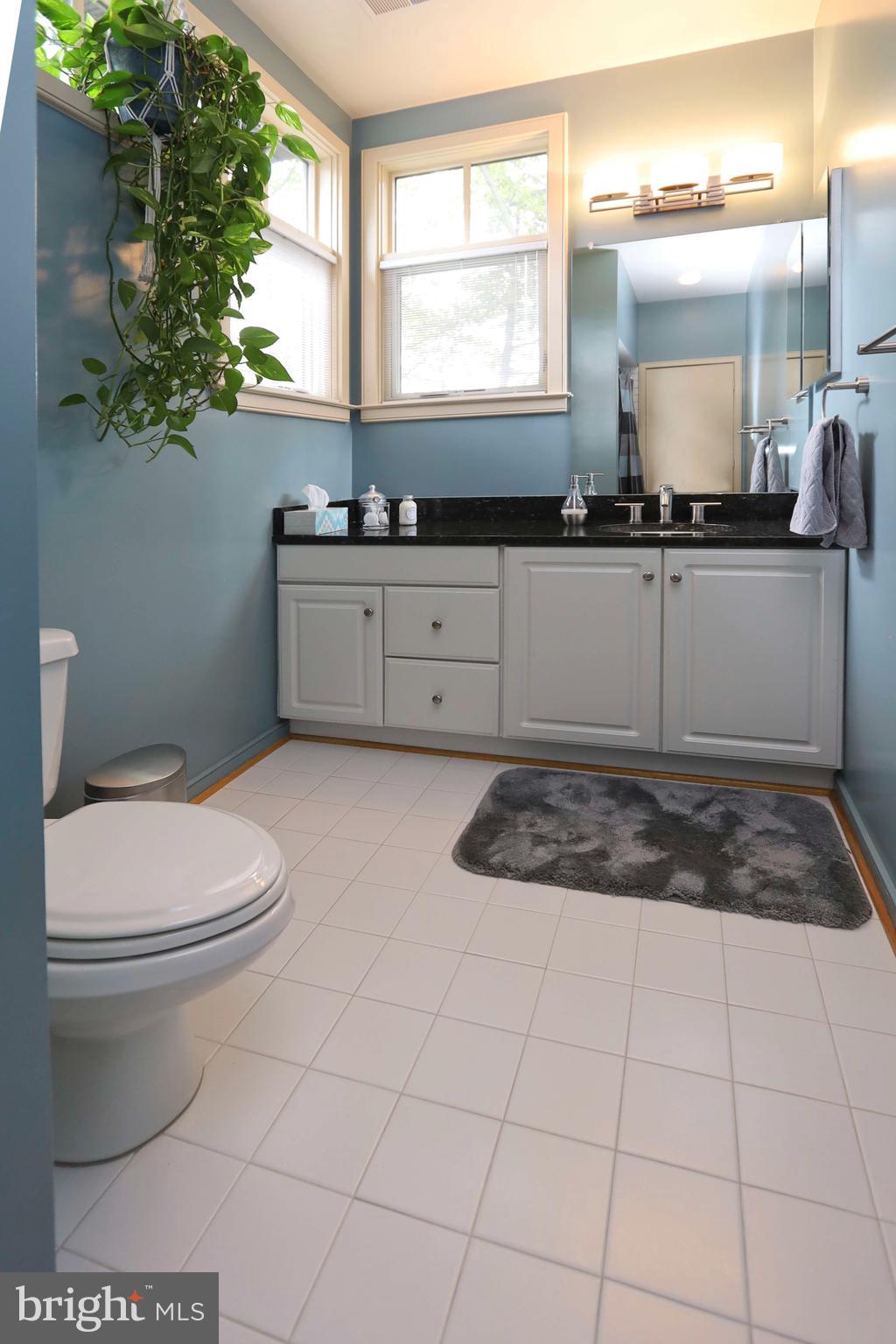 1453 Waterfront Road Reston, VA 20194 - Photo 34 of 56 Granite topped vanity