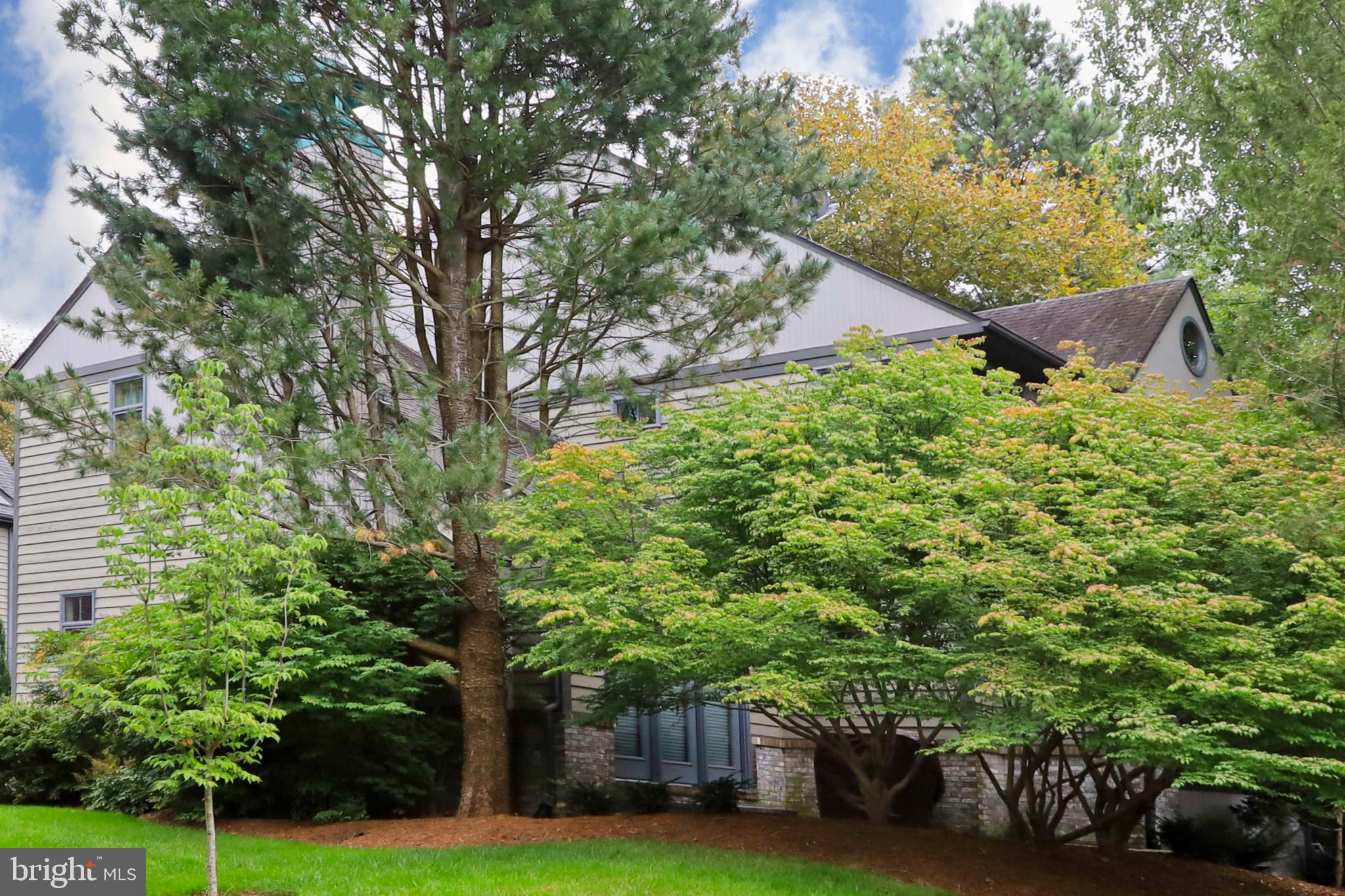 1453 Waterfront Road Reston, VA 20194 - Photo 48 of 56 Lots of privacy