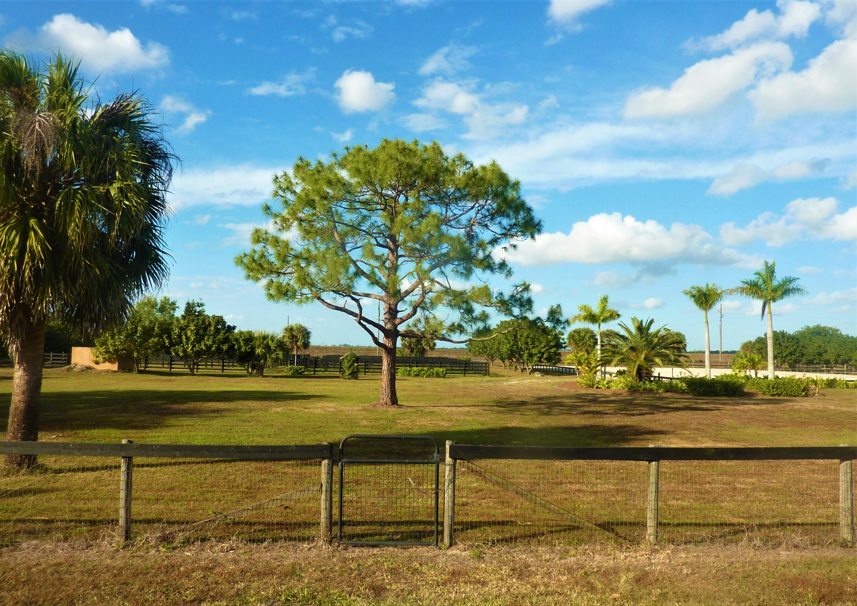 16493 Rustic Road Wellington, FL 33470 - Photo 29 of 57 a view of swimming pool with lawn chairs plants and large trees