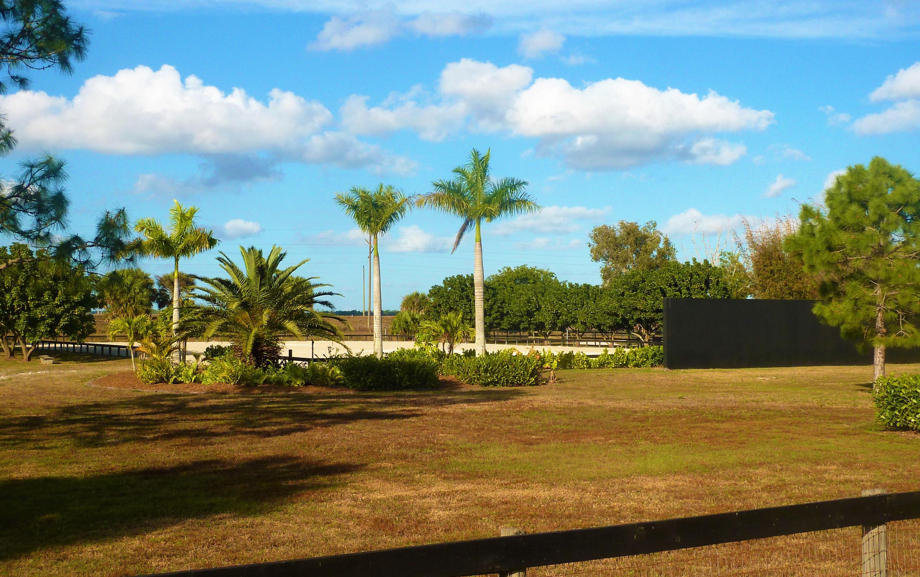 16493 Rustic Road Wellington, FL 33470 - Photo 30 of 57 P1090930 (2)