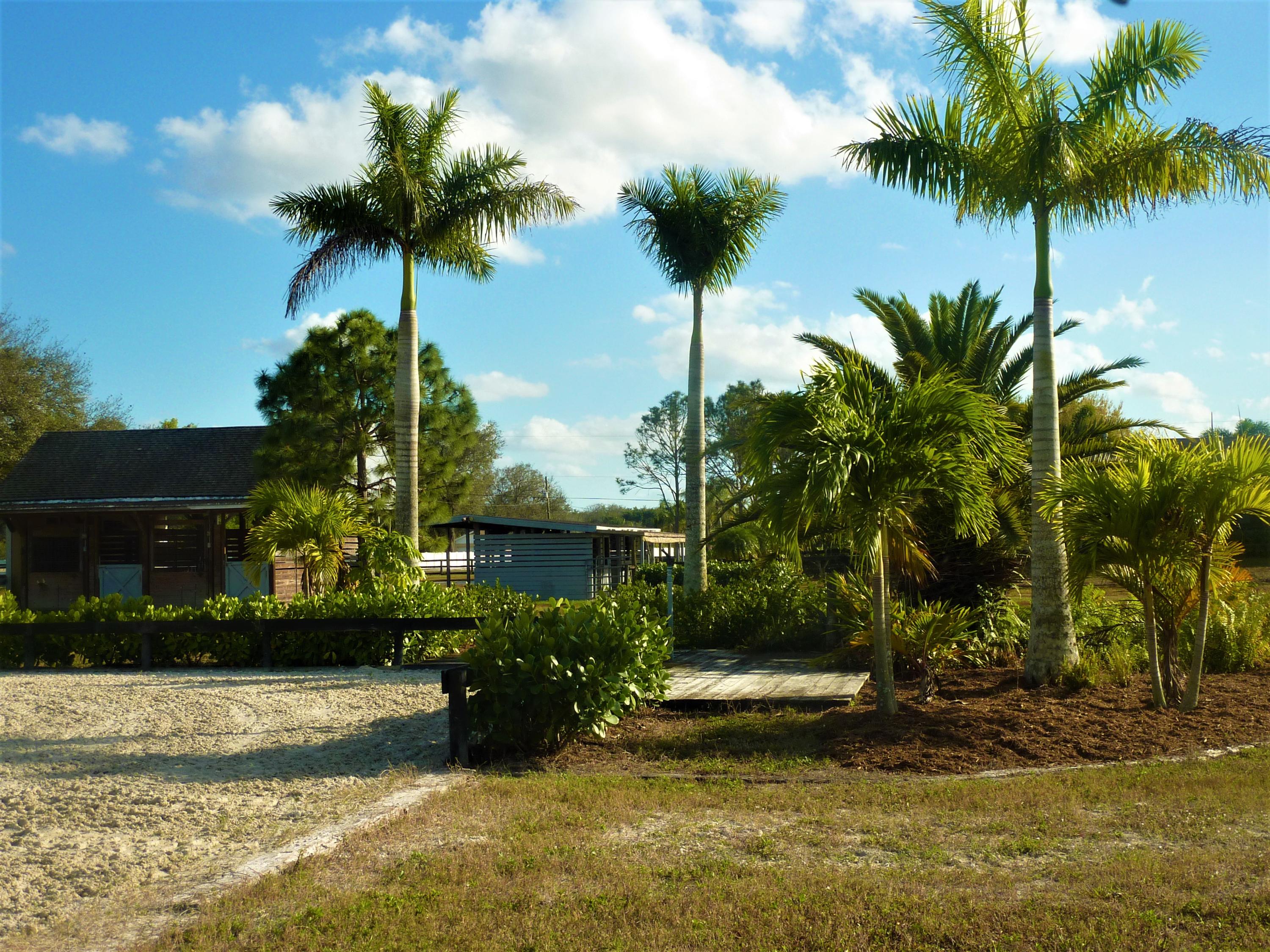 16493 Rustic Road Wellington, FL 33470 - Photo 31 of 57 a view of a yard with palm trees