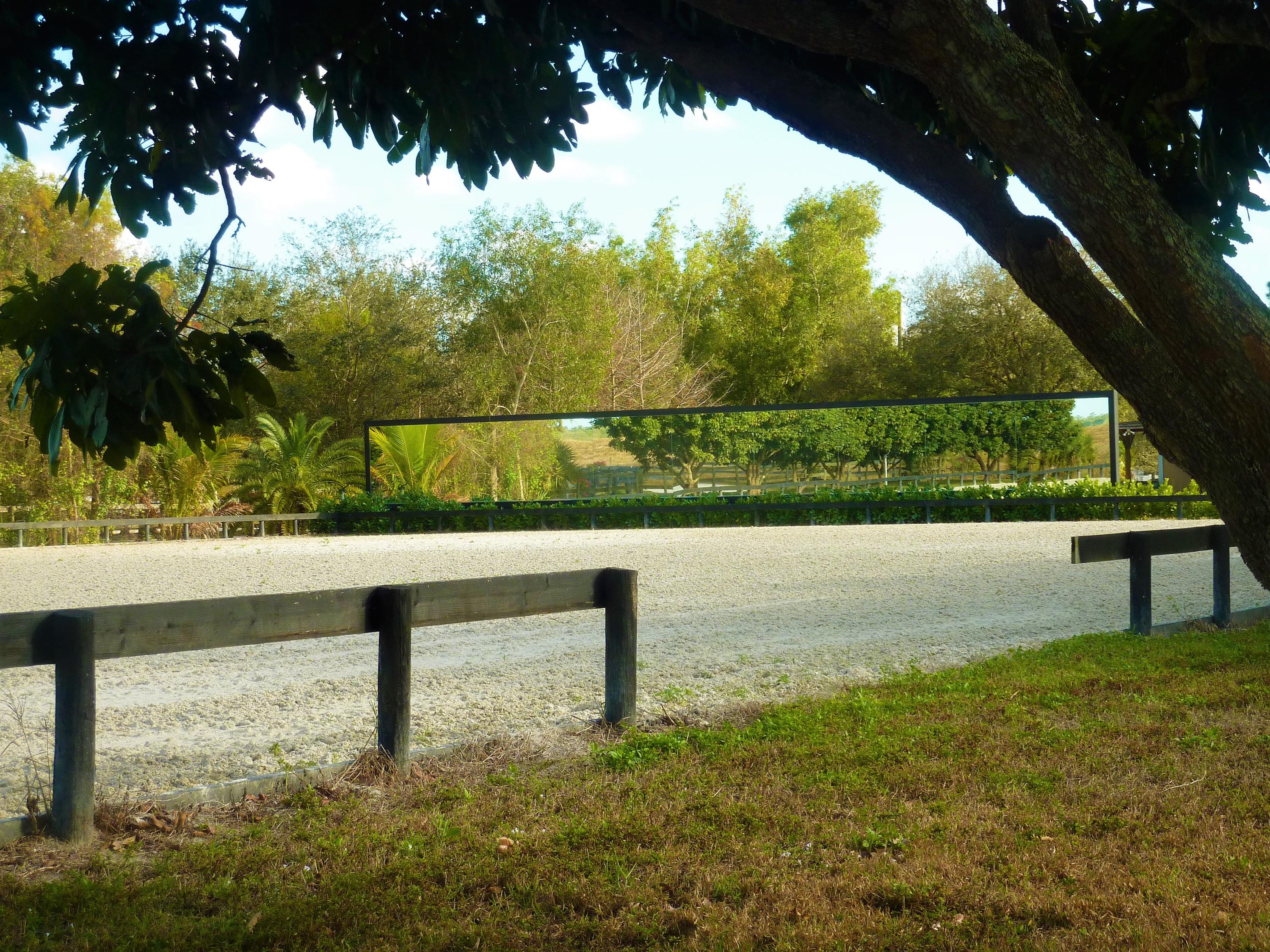 16493 Rustic Road Wellington, FL 33470 - Photo 32 of 57 a view of a yard with a tree