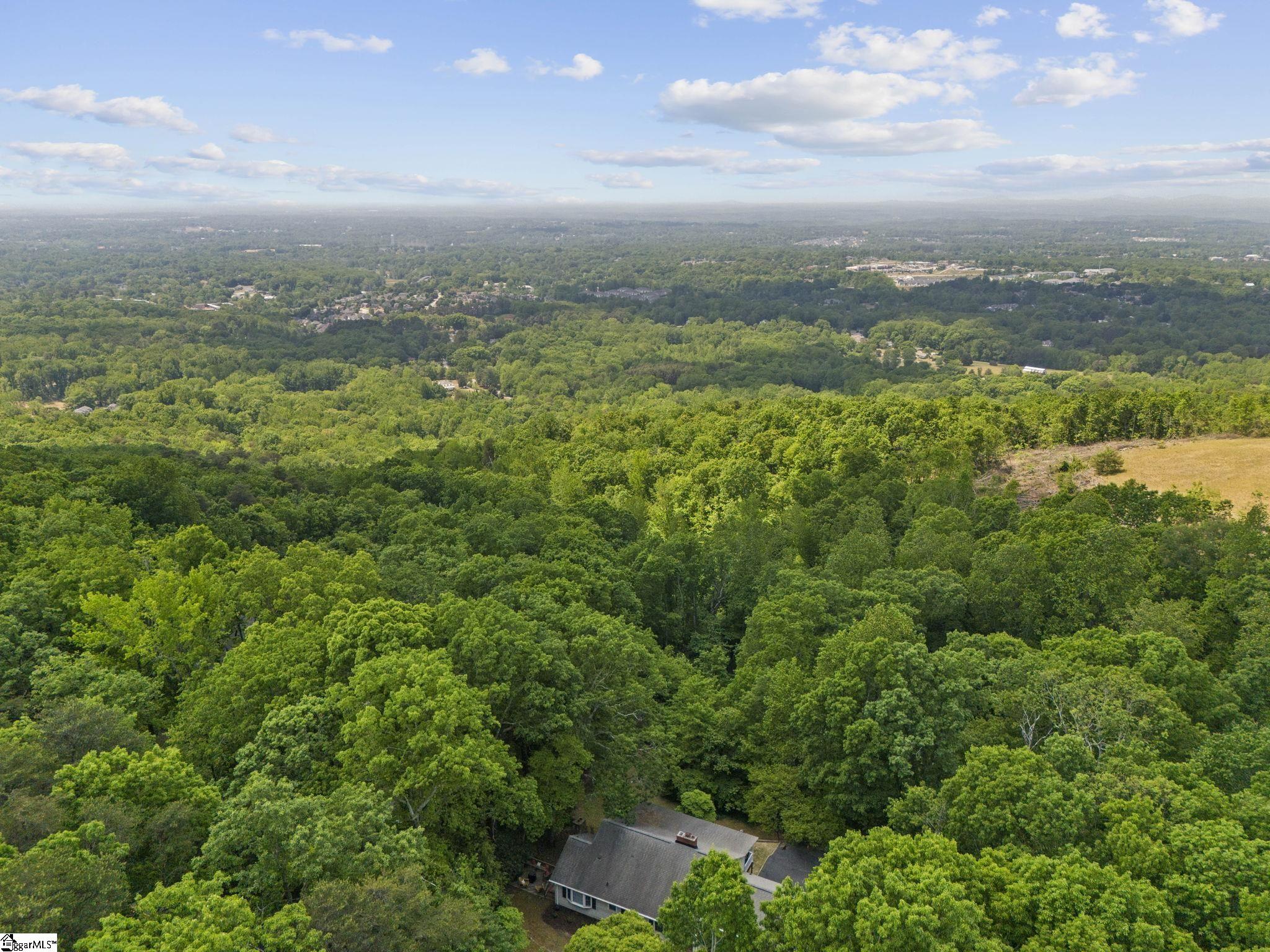 651 Altamont Road Greenville, SC 29609 - Photo 39 of 45