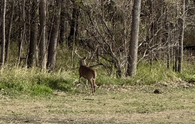 $380,000 | 40-ac County Road U, Portage, WI 53901