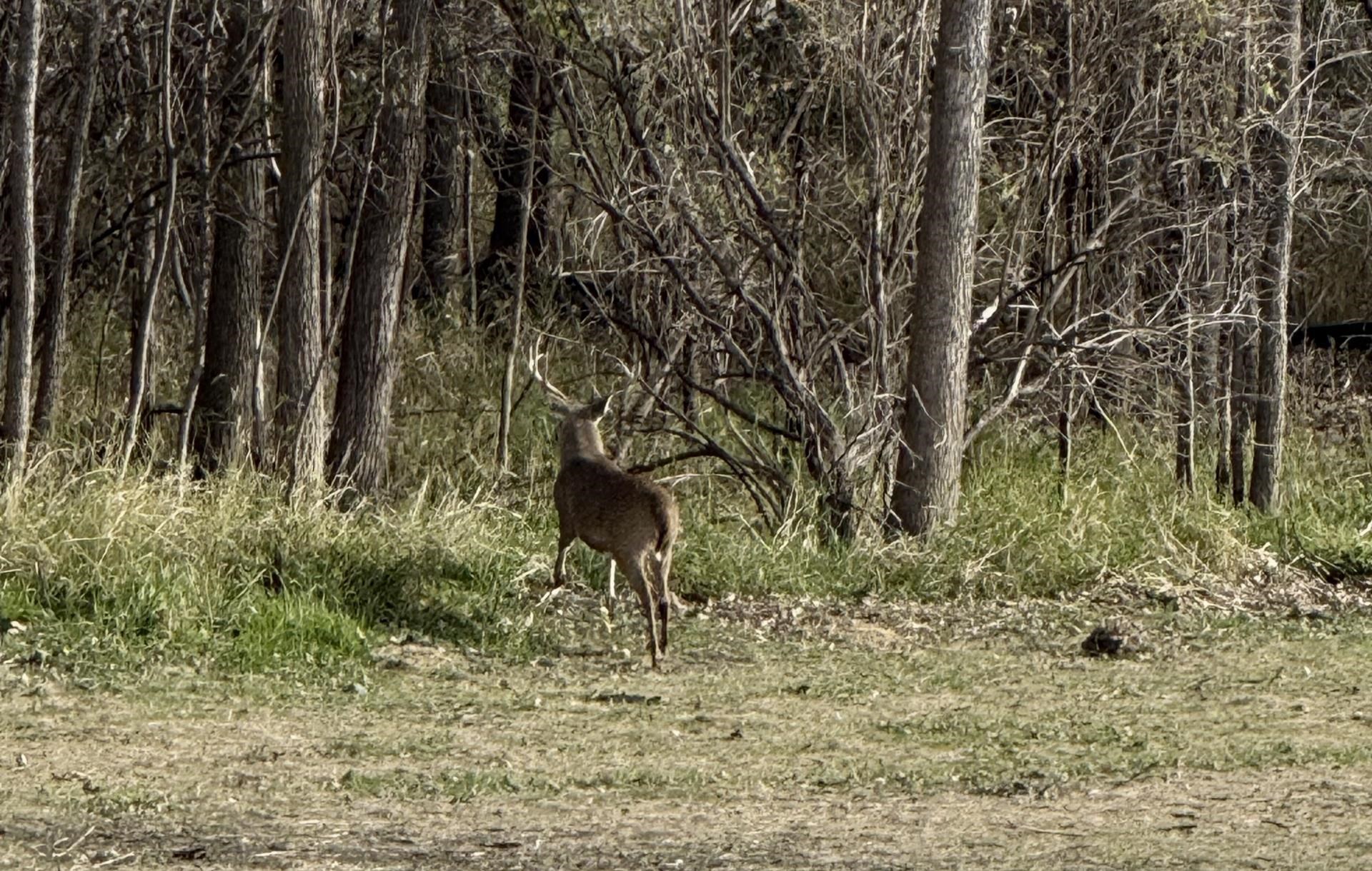 40-ac County Road U Portage, WI 53901 - Photo 1 of 23