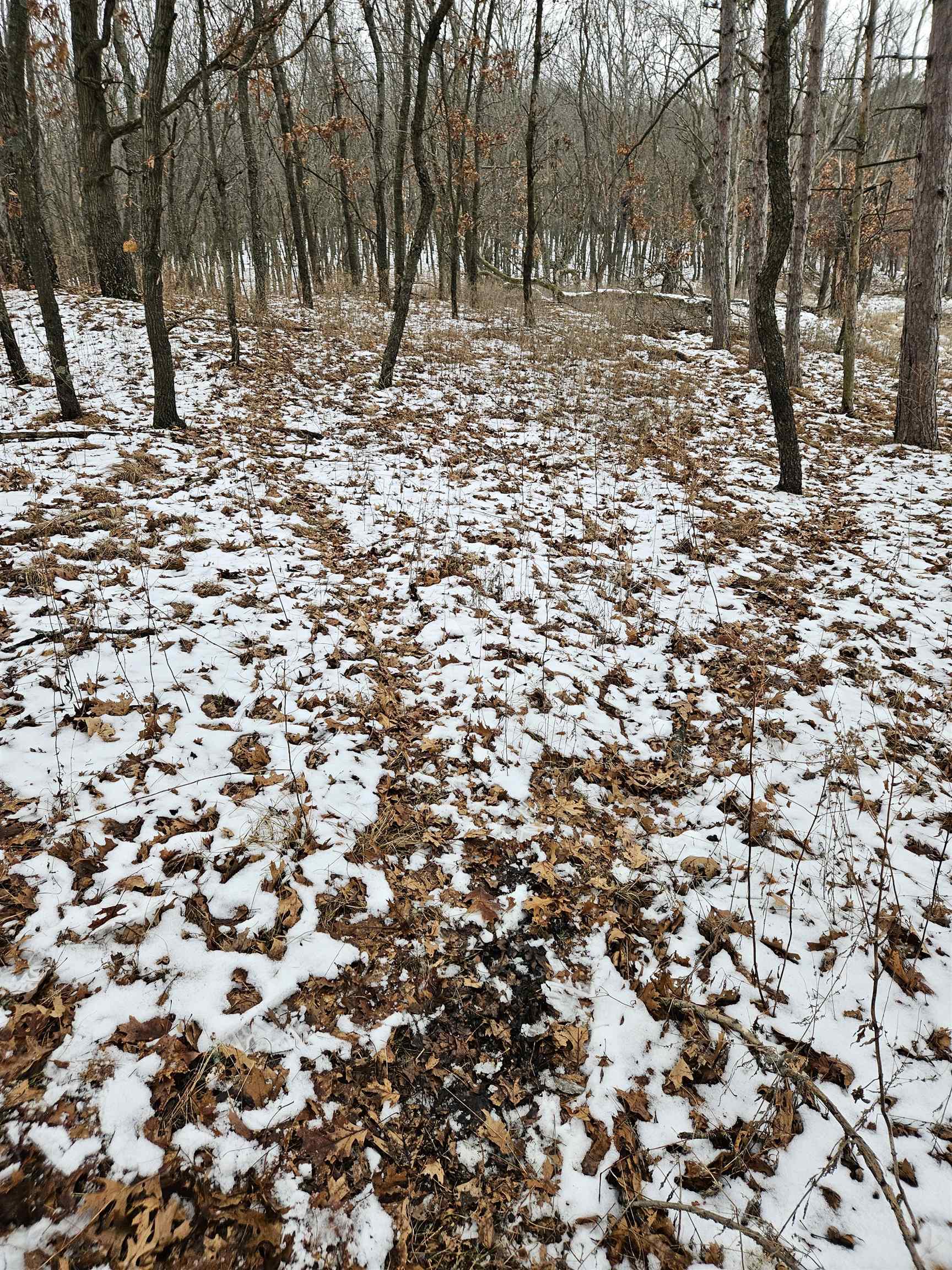 40-ac County Road U Portage, WI 53901 - Photo 13 of 23