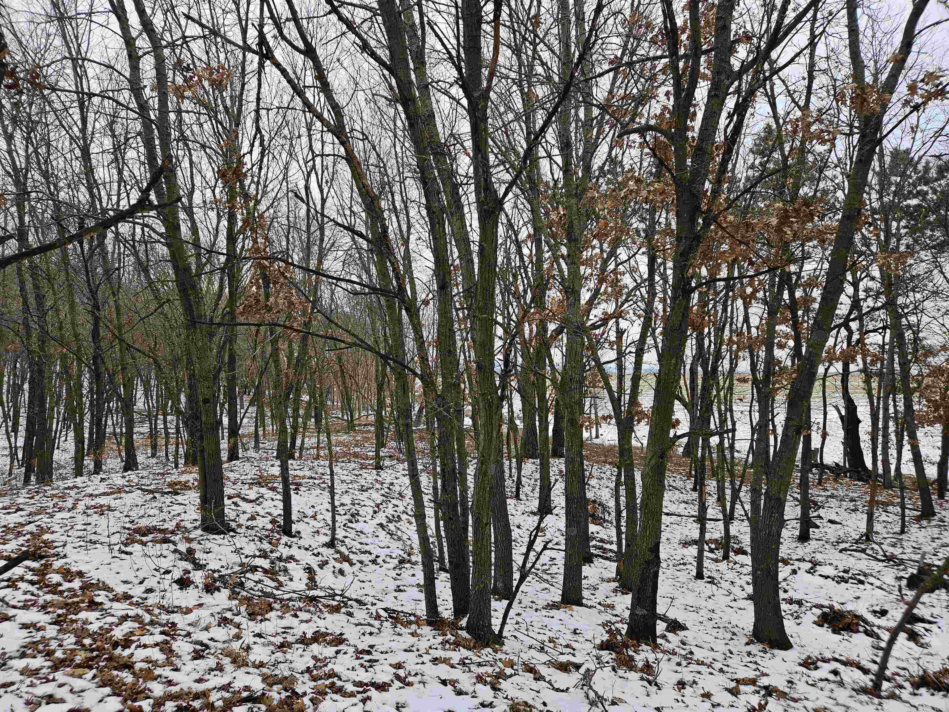 40-ac County Road U Portage, WI 53901 - Photo 14 of 23