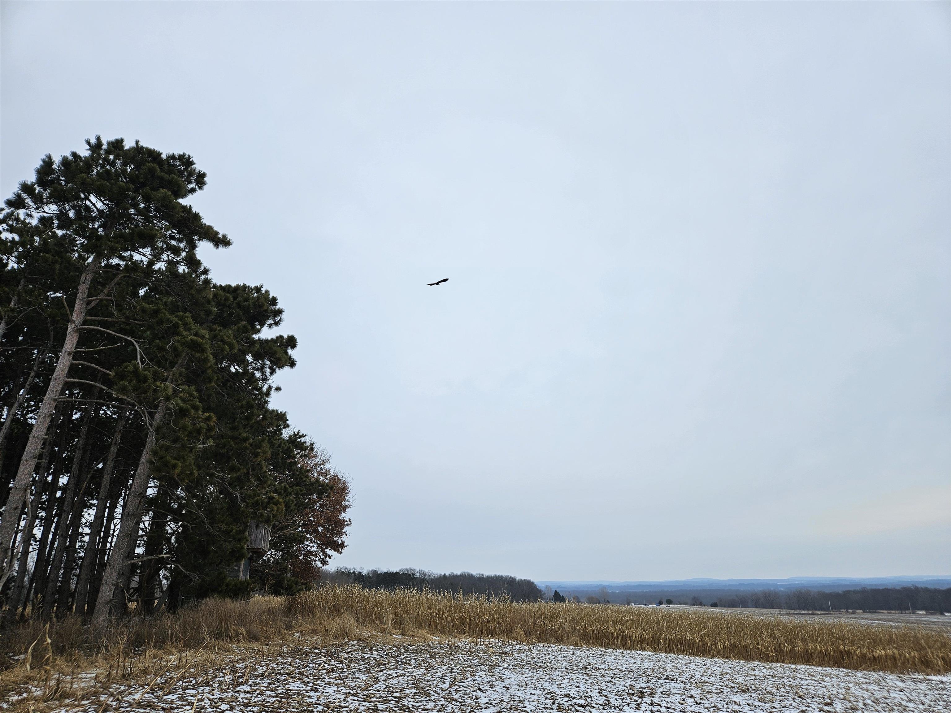 40-ac County Road U Portage, WI 53901 - Photo 16 of 23