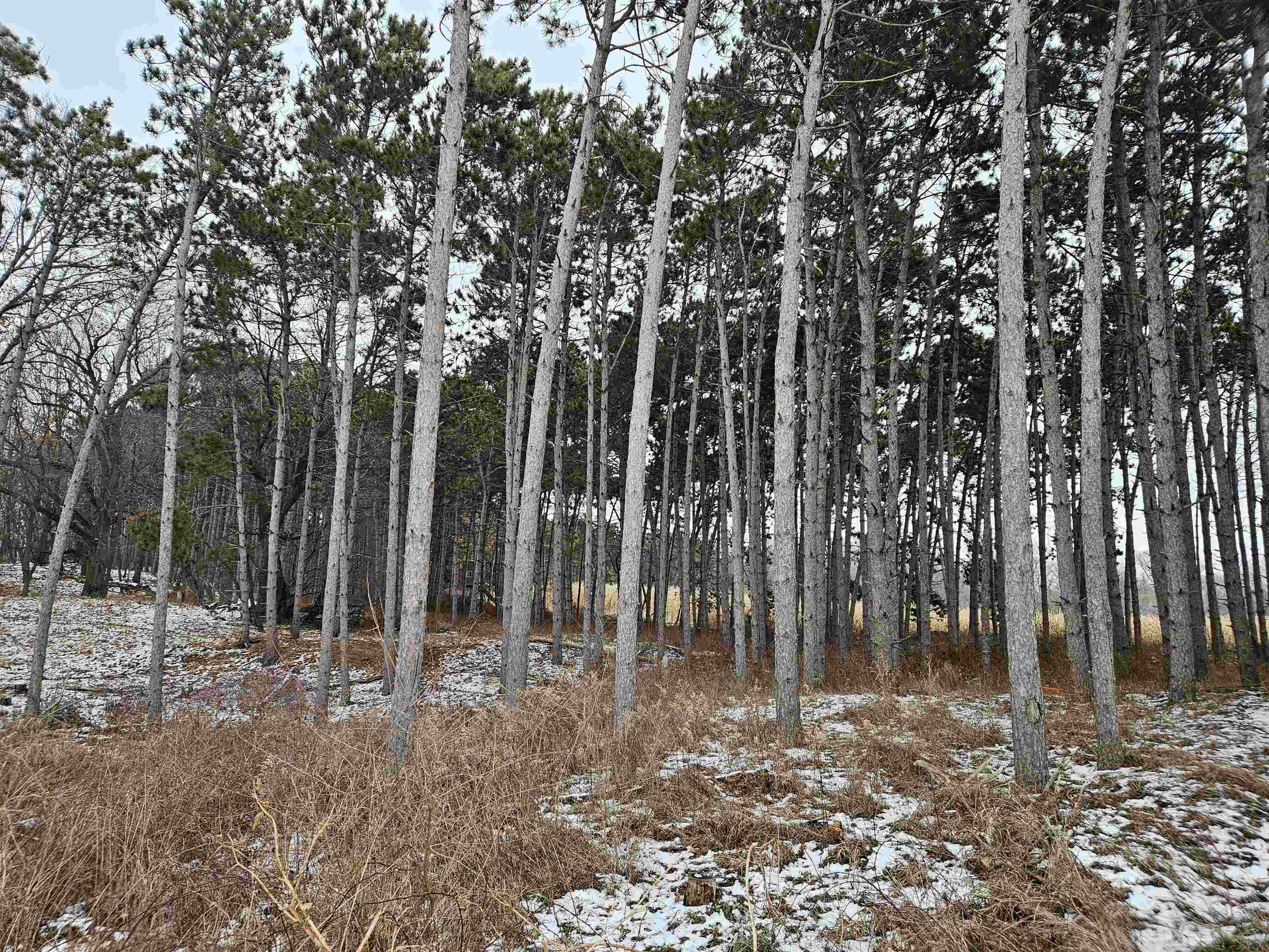 40-ac County Road U Portage, WI 53901 - Photo 22 of 23