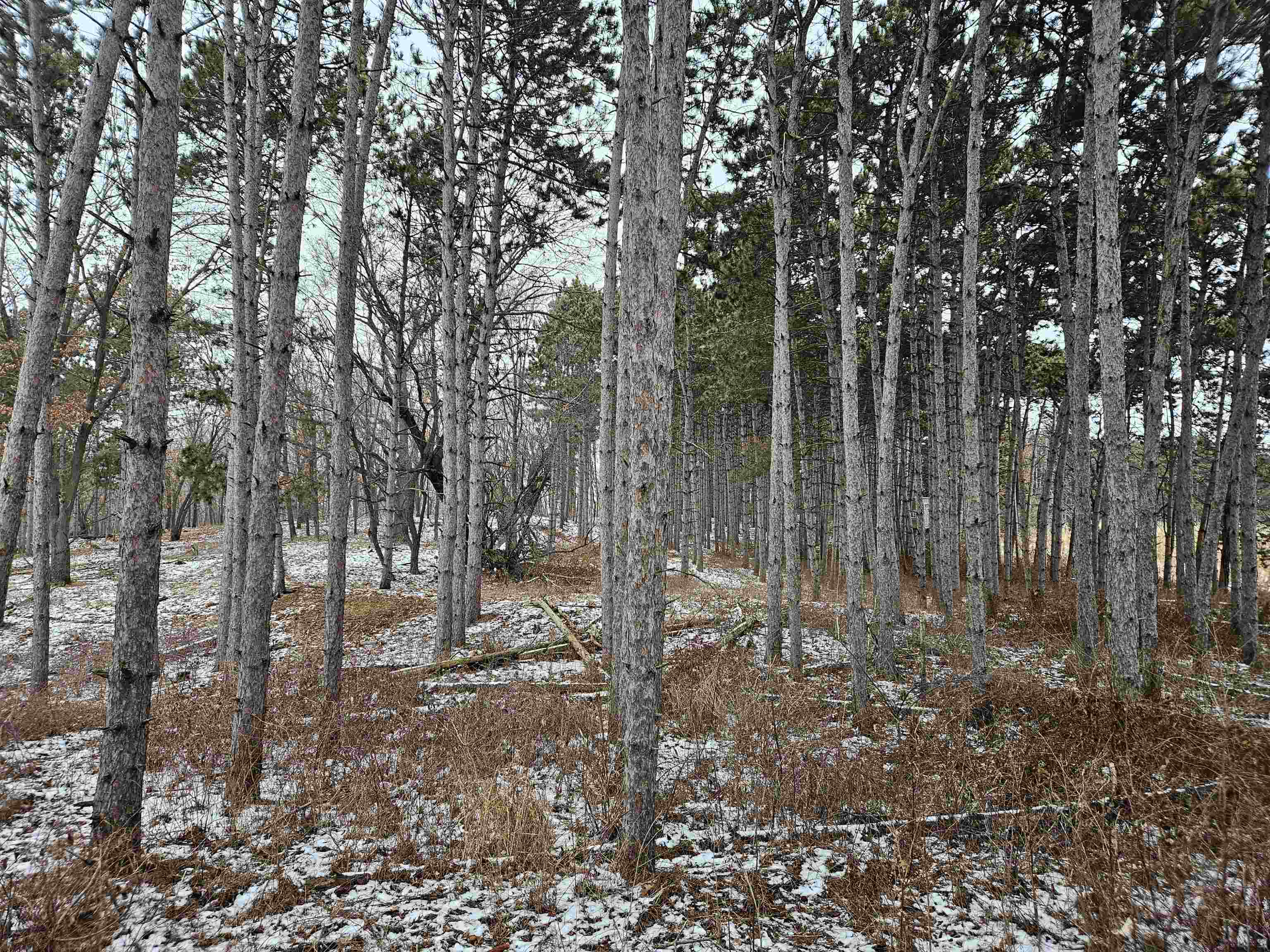 40-ac County Road U Portage, WI 53901 - Photo 23 of 23