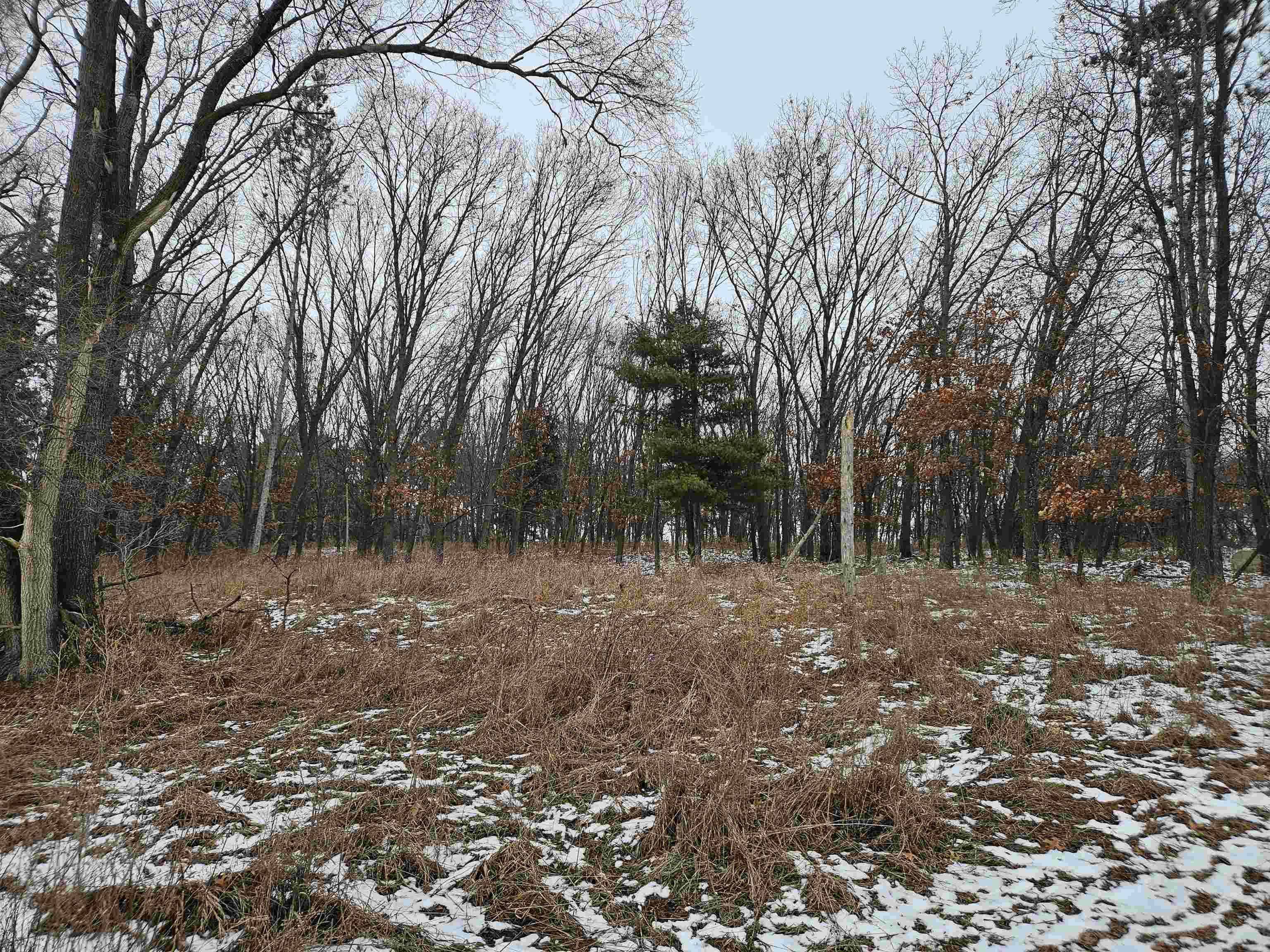 40-ac County Road U Portage, WI 53901 - Photo 4 of 23