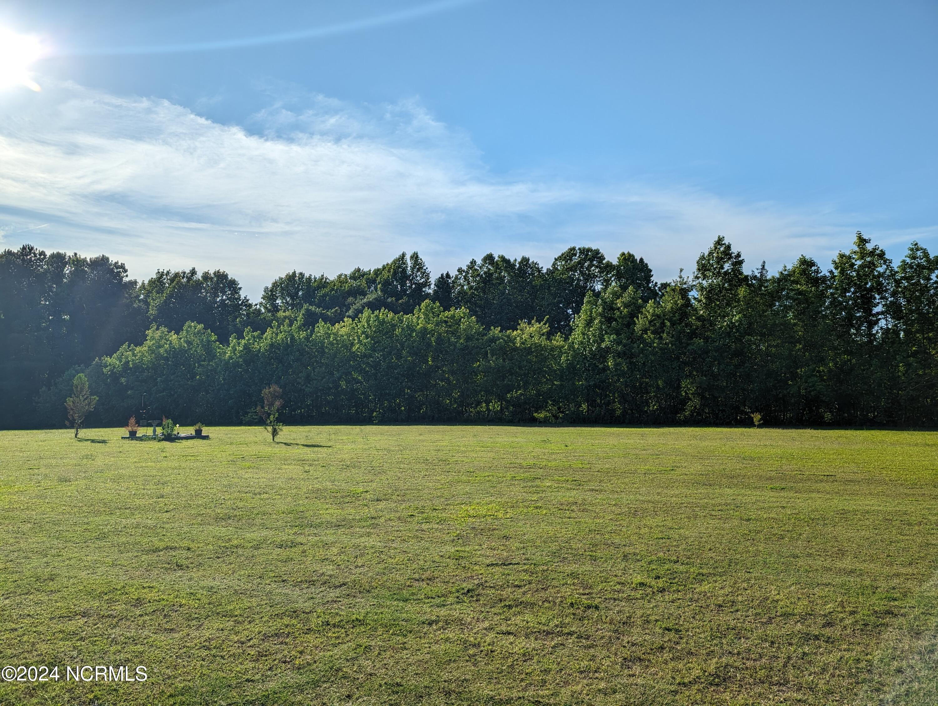 1613 Webbs Chapel Road Macclesfield, NC 27852 - Photo 28 of 40 View from front porch