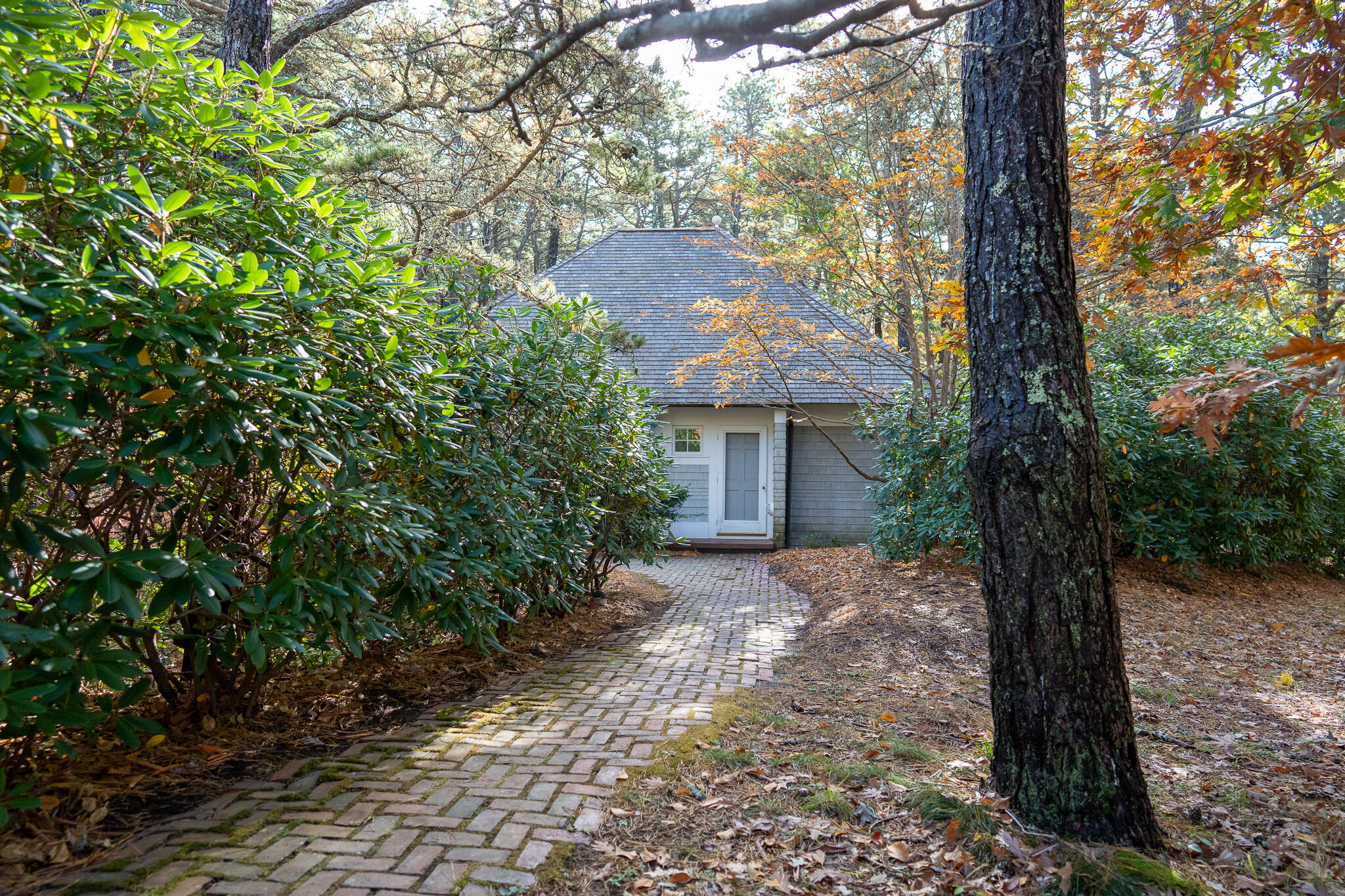 65-75 Deer Path Way Wellfleet, MA 02667 - Photo 73 of 83 Poolhouse/studio Path