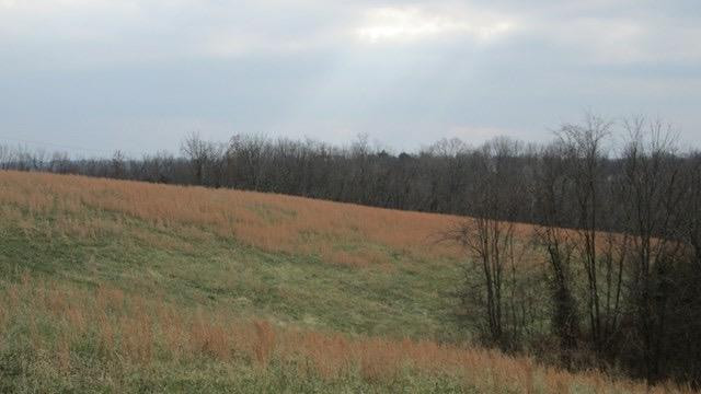 1 Alhambra Road Mays Lick, KY 41055 - Photo 1 of 4 Photo 1