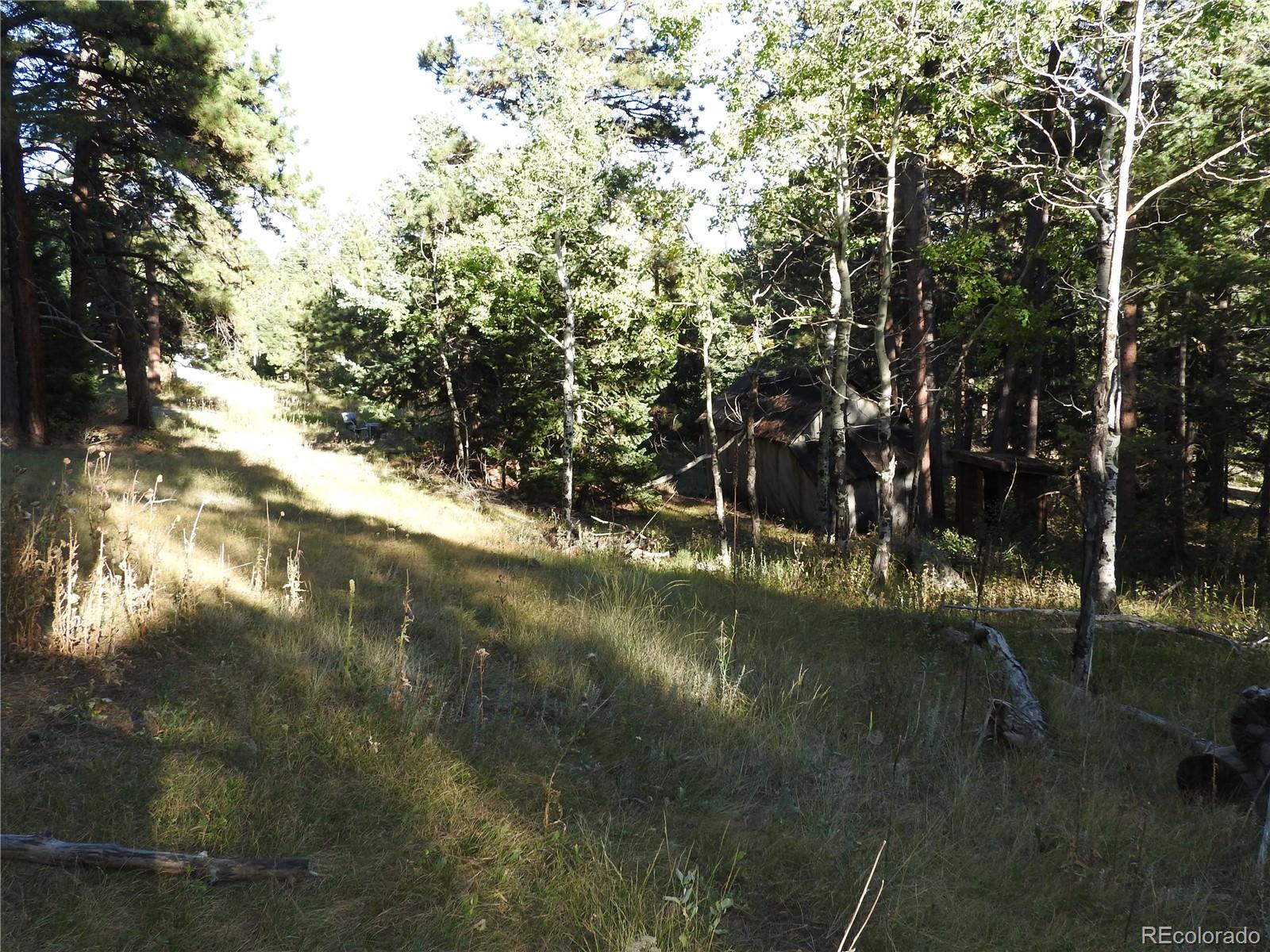 0 South Hillview Road Morrison, CO 80465 - Photo 11 of 17 Gallery Image 11