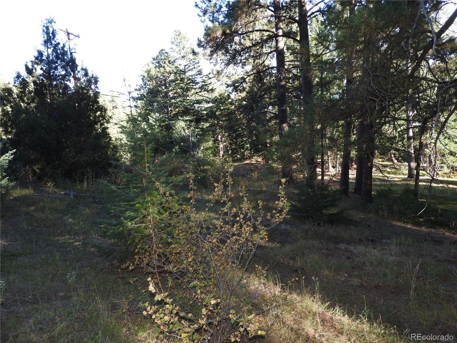 0 South Hillview Road Morrison, CO 80465 - Photo 13 of 17 Gallery Image 13