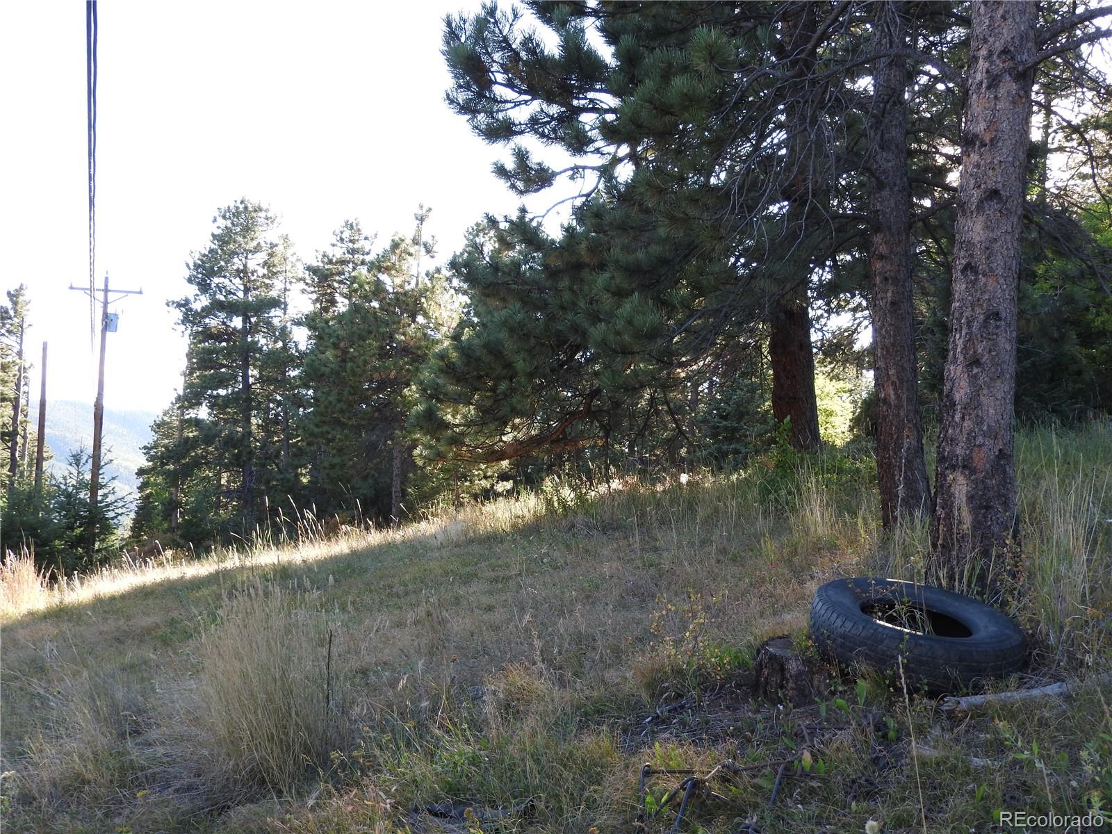 0 South Hillview Road Morrison, CO 80465 - Photo 8 of 17 Gallery Image 8