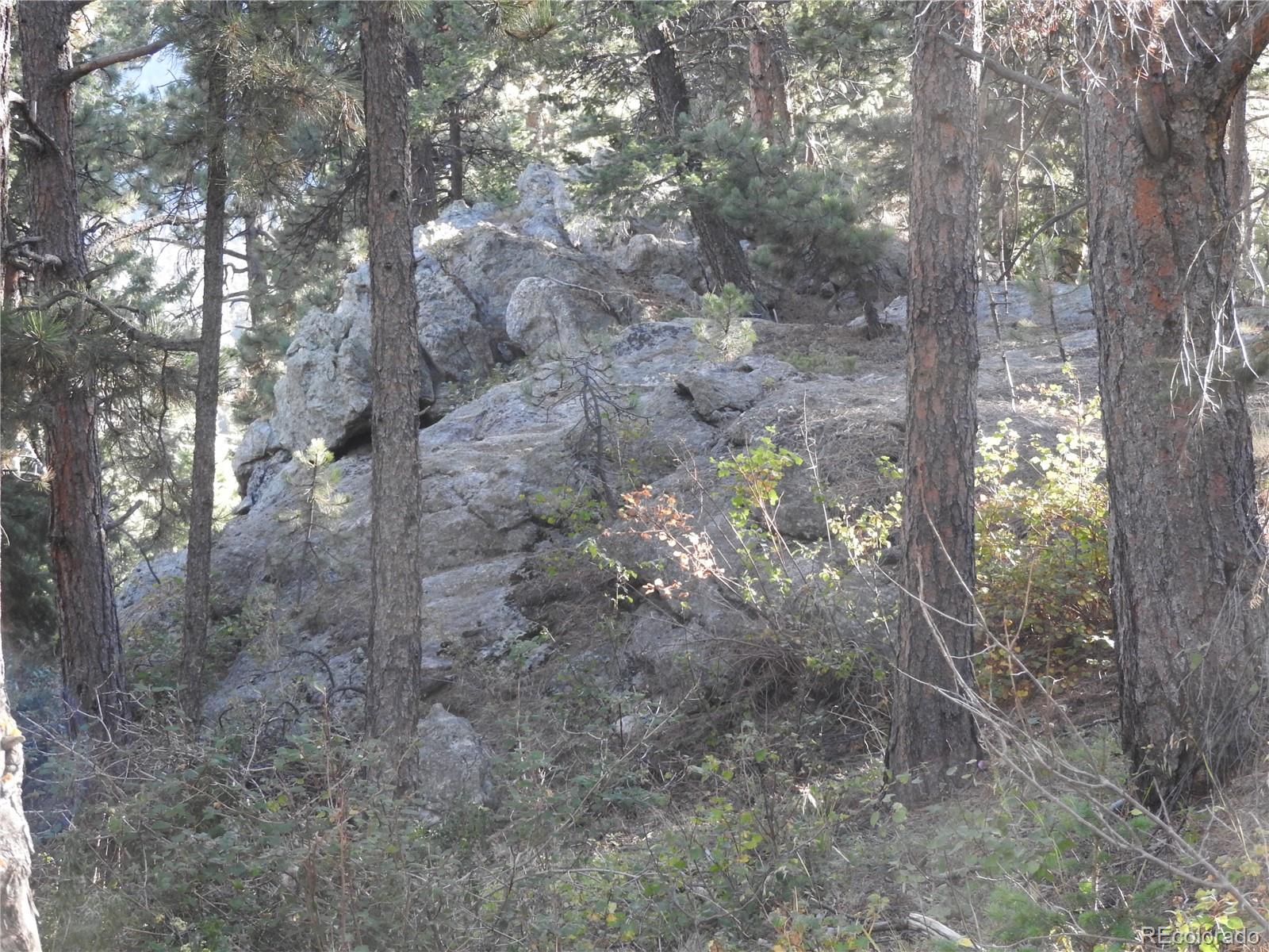 0 South Hillview Road Morrison, CO 80465 - Photo 9 of 17 Gallery Image 9