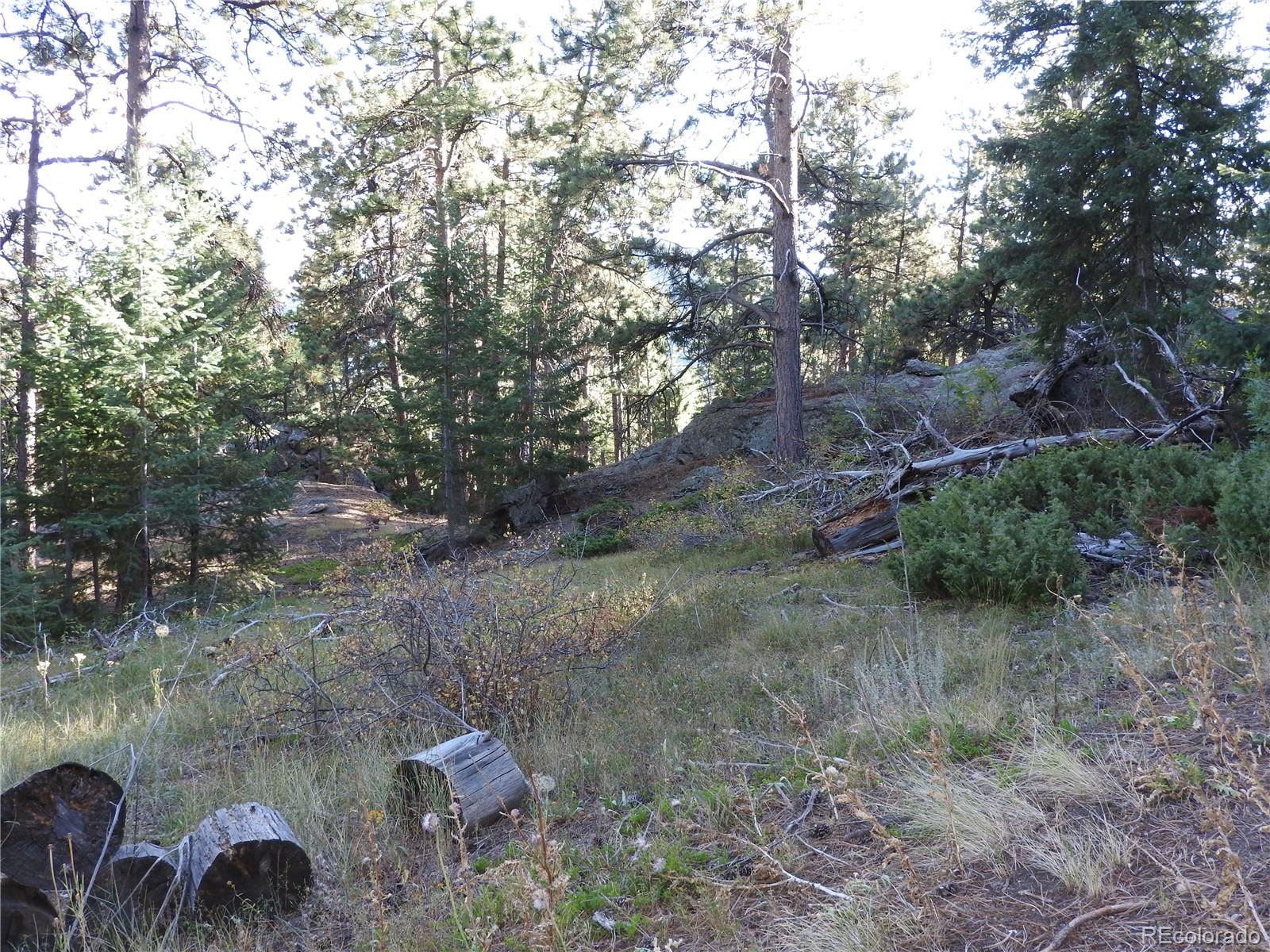 0 South Hillview Road Morrison, CO 80465 - Photo 10 of 17 Gallery Image 10