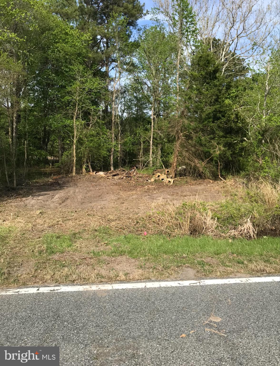 0 Capitola Road Tyaskin, MD 21865 - Photo 2 of 4 a view of a yard with a tree