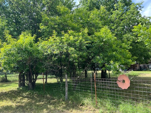 6009 Southeast 5th Street Rochelle, TX 76872 - Photo 61 of 106