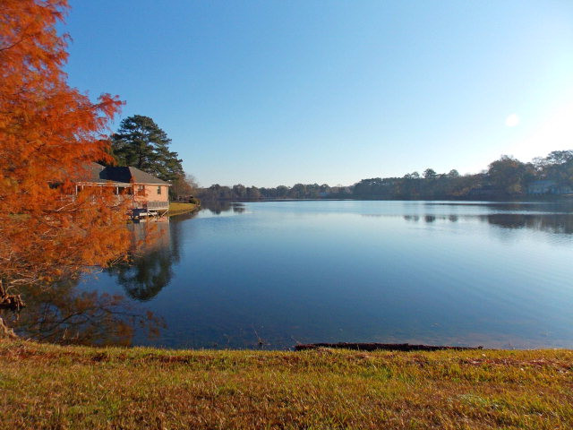 Lot 1 Cedar Ridge Road McComb, MS 39648 - Photo 1 of 1 Main View