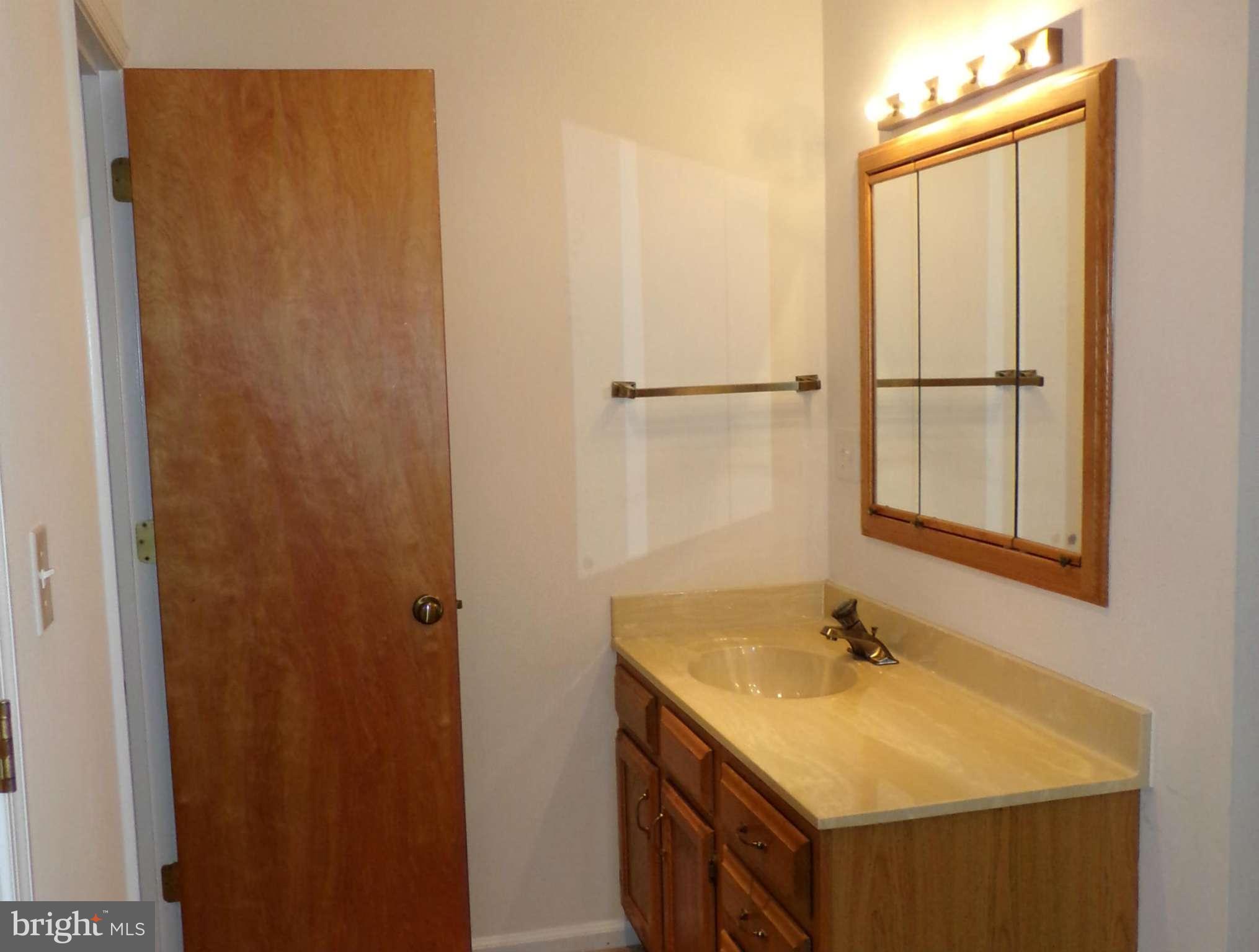 419 Birdie Road Locust Grove, VA 22508 - Photo 19 of 30 Bath (Master)