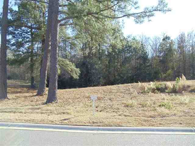 Lot 168 Commanders Island Road Georgetown, SC 29440 - Photo 4 of 9 Gallery Image 4