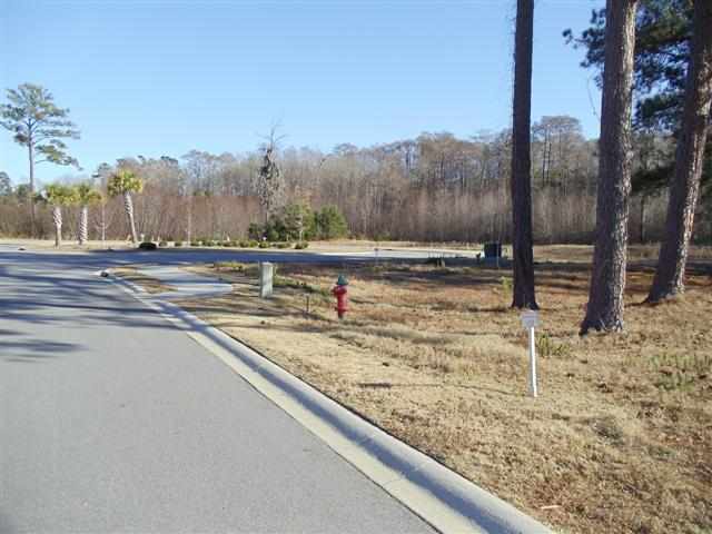 Lot 168 Commanders Island Road Georgetown, SC 29440 - Photo 5 of 9 Gallery Image 5