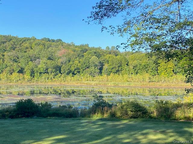 Lily Lake Road Highland, NY 12528 - Photo 16 of 30 View of yard with a water view and a wooded view