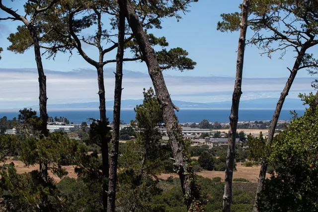 a view of a town with mountains in the background