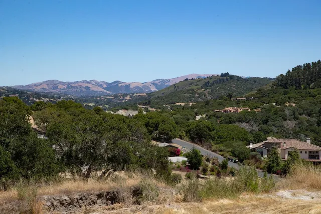 a view of a covered with trees in the background