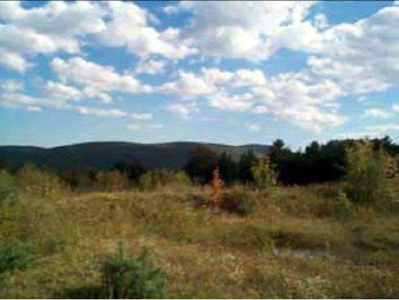 0 Black Mountain Road Brattleboro, VT 05301 - Photo 1 of 1 Gallery Image 1