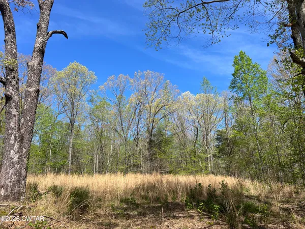 a view of swimming pool with a yard and trees in the background