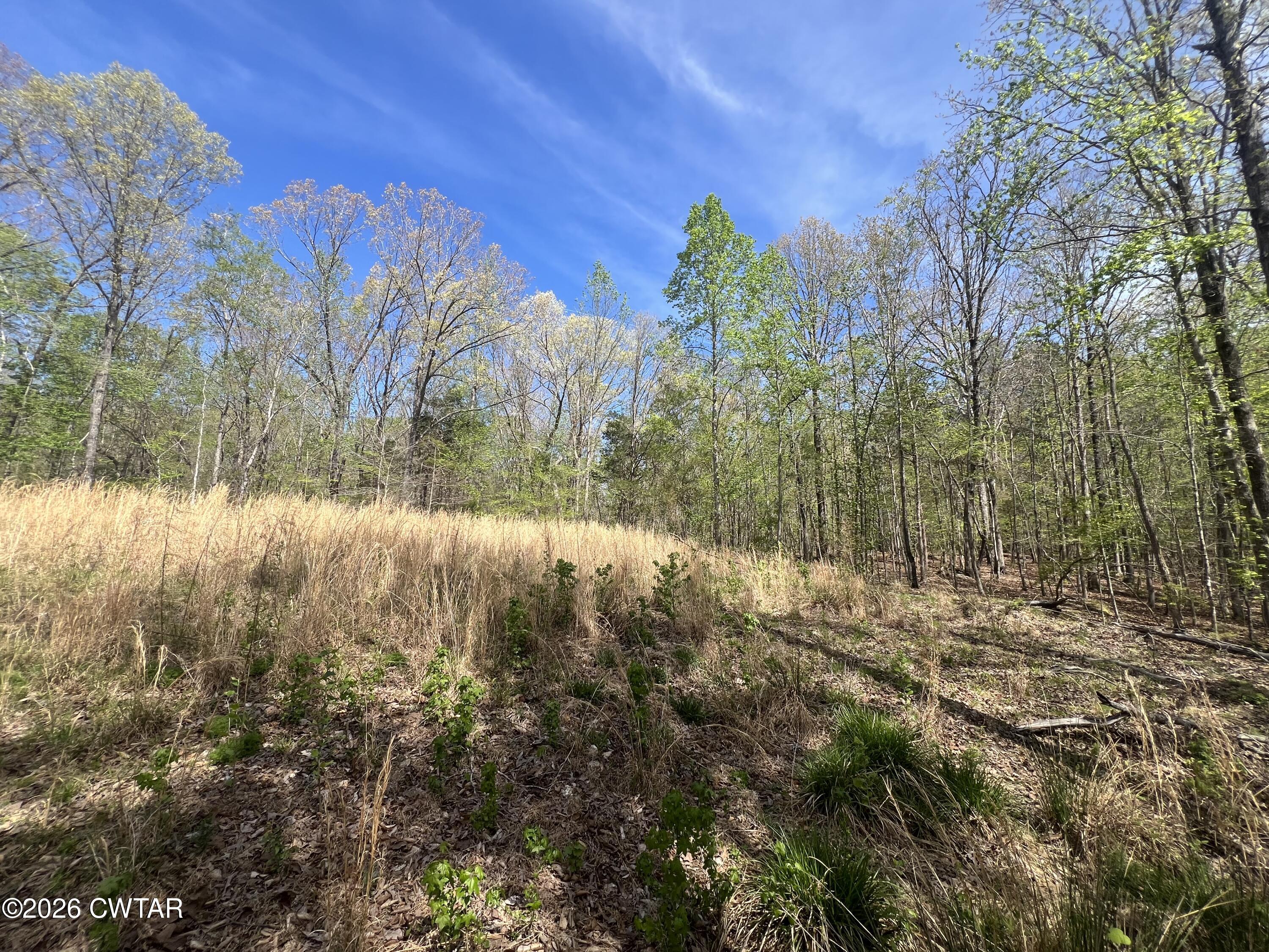 942 Excalibur Trail Cedar Grove, TN 38321 - Photo 11 of 19