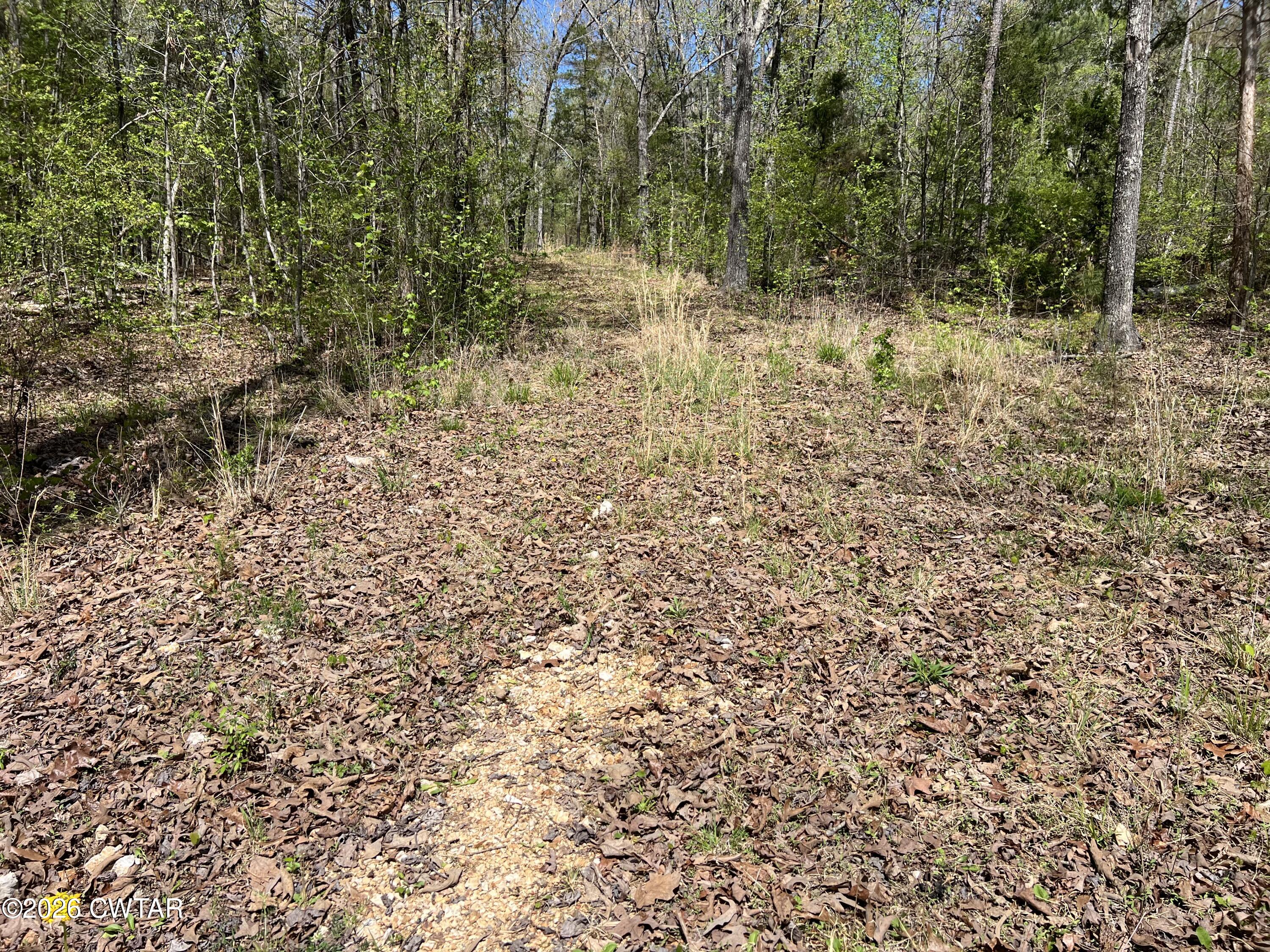 942 Excalibur Trail Cedar Grove, TN 38321 - Photo 16 of 19 a view of backyard with green space
