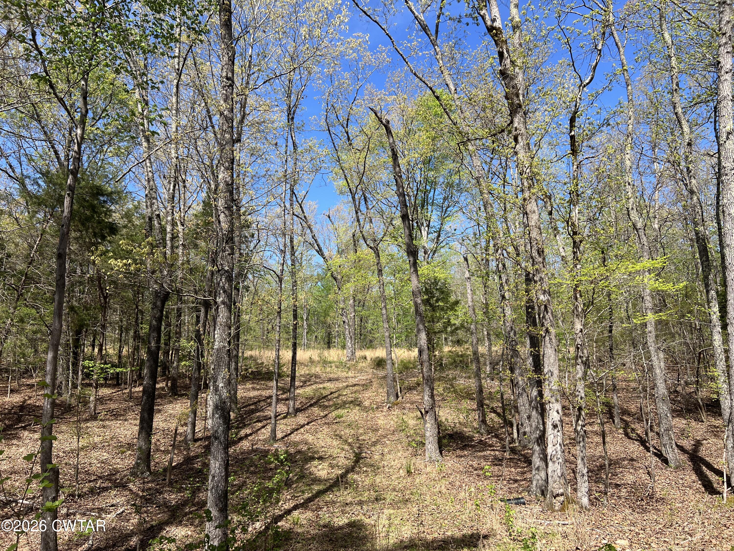 942 Excalibur Trail Cedar Grove, TN 38321 - Photo 7 of 19