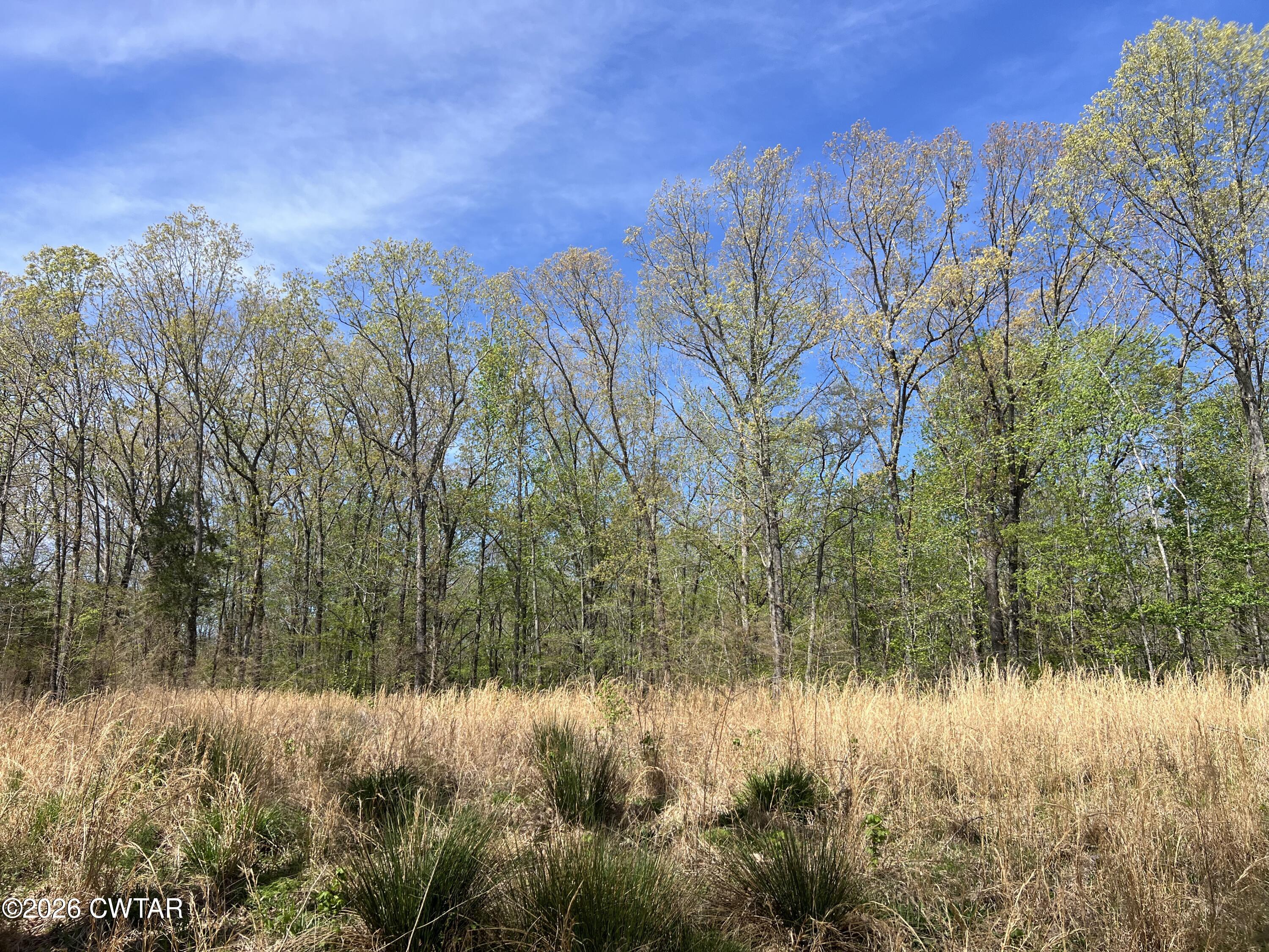 942 Excalibur Trail Cedar Grove, TN 38321 - Photo 9 of 19