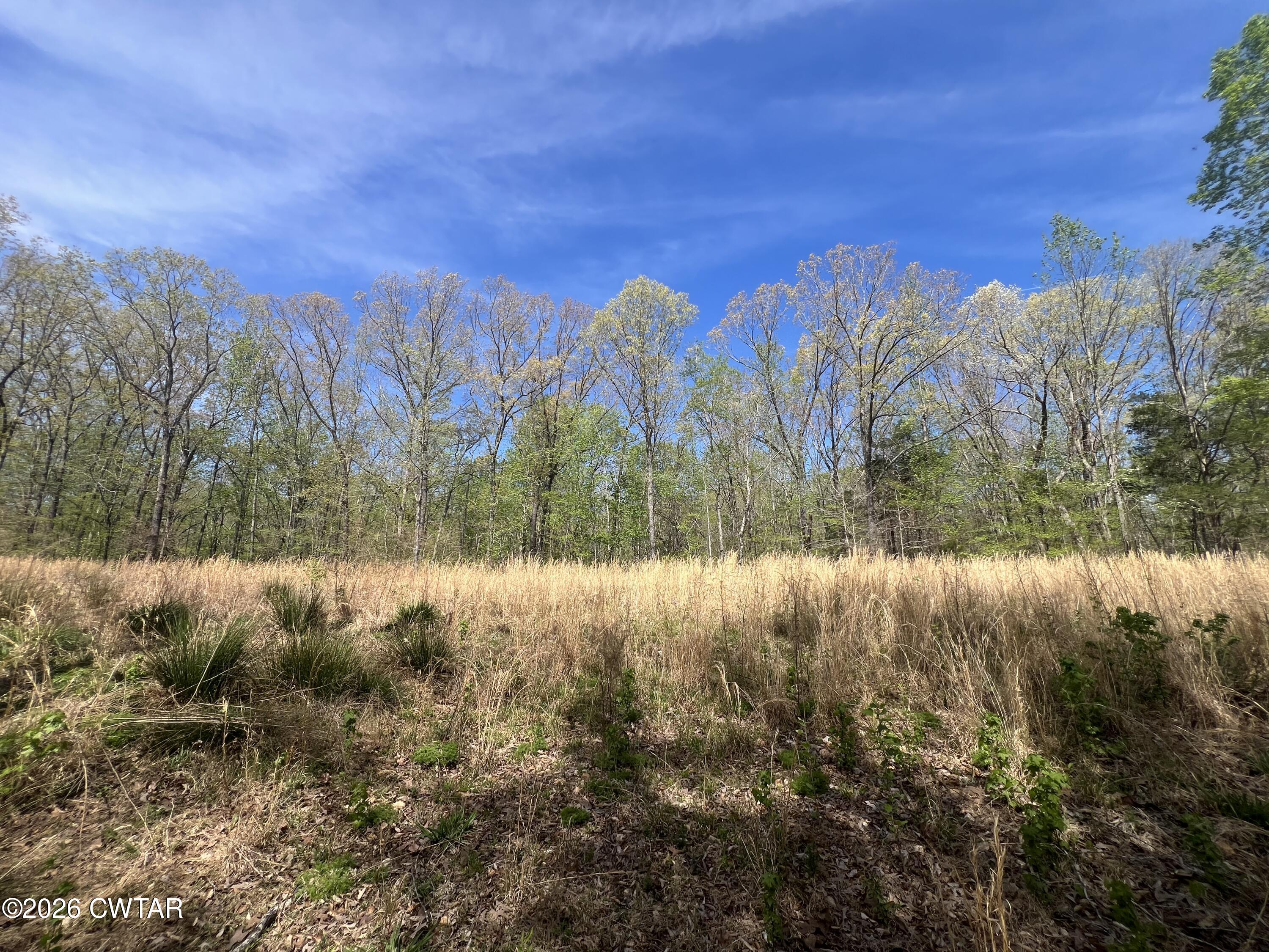 942 Excalibur Trail Cedar Grove, TN 38321 - Photo 10 of 19 a view of a yard with a yard